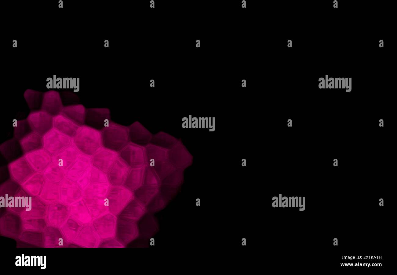 Pink Polygonal Shapes on black background. Honeycomb pattern. Stock Photo
