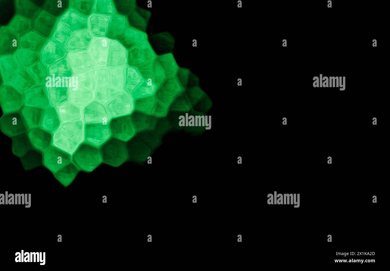 Green Polygonal Shapes on black background. Honeycomb pattern. Stock Photo