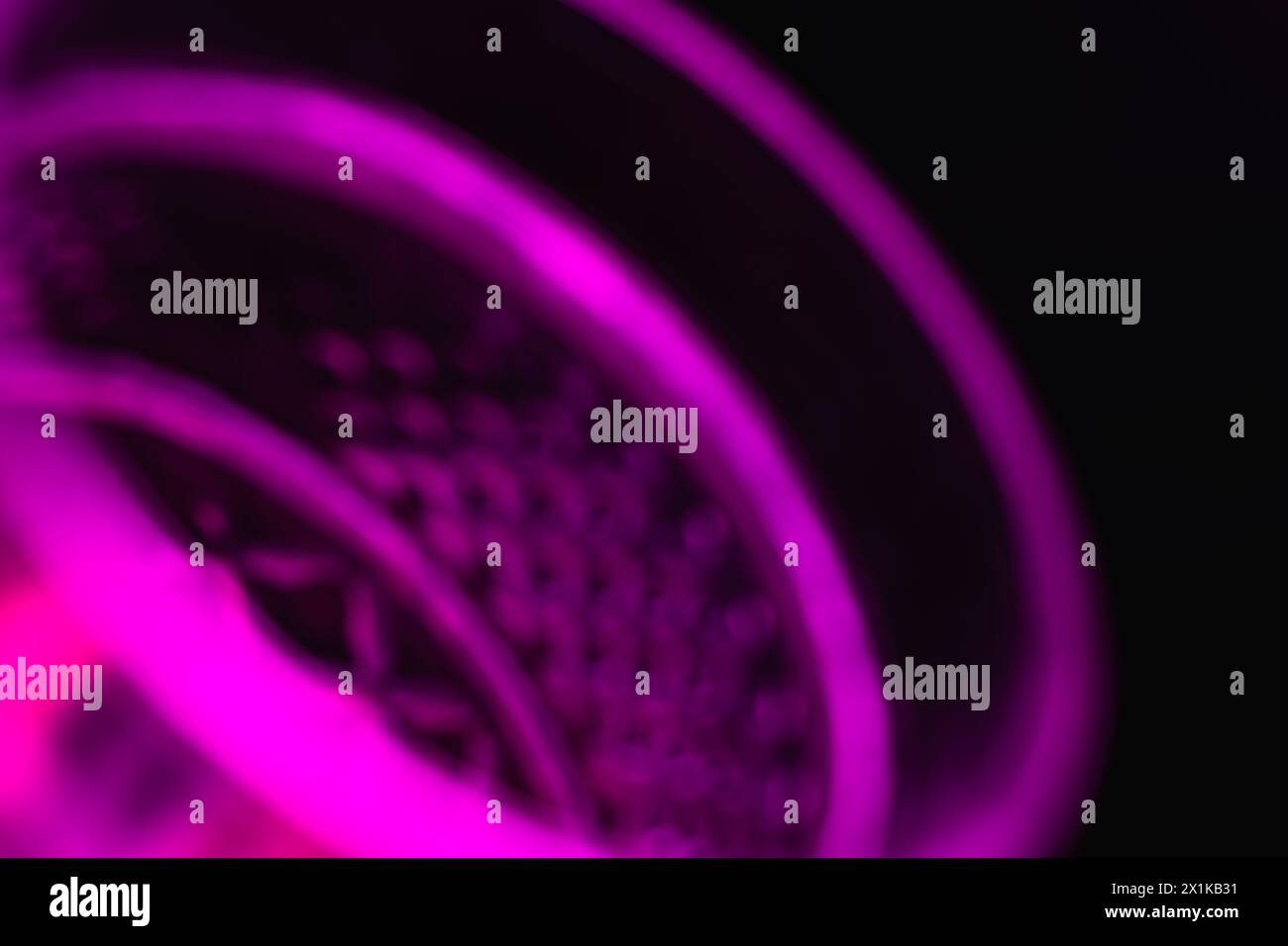 Light purple, pink gradient blur backdrop. Violet gradient blurred banner. Stock Photo