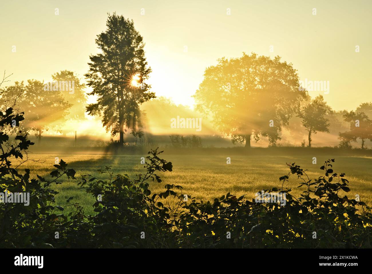 Friesischer Nebel - von strahlenden Sommermorgen bis milchigen Wintertagen - die Morgensonne scheint durch den Frühnebel 21 Stock Photo