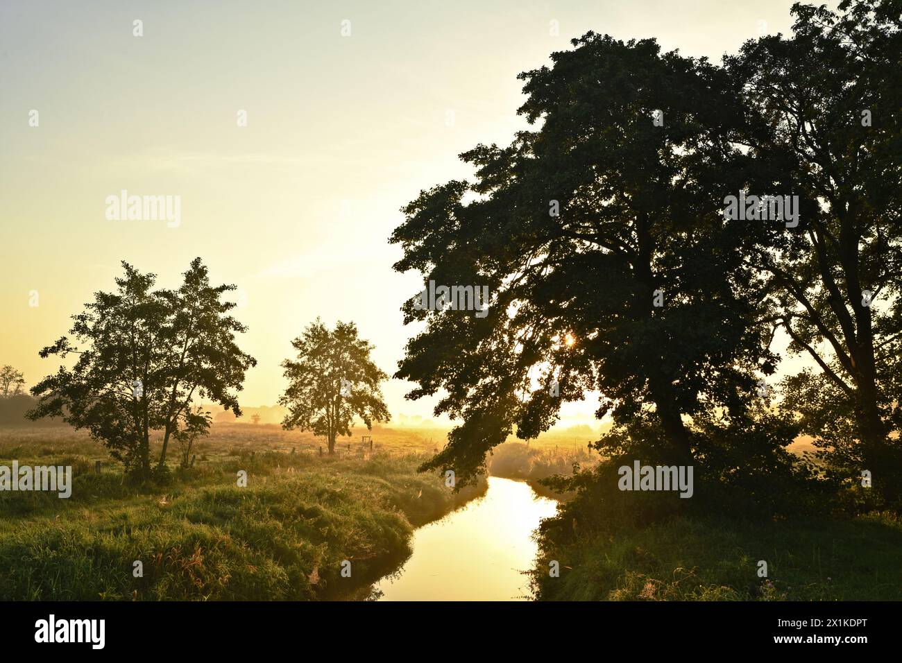 Friesischer Nebel - von strahlenden Sommermorgen bis milchige Wintertage - Bäume am Reepsholter Tief im Morgendunst 2 Stock Photo