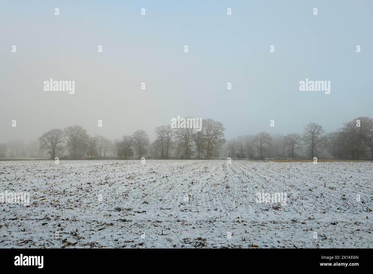 Friesischer Nebel - von strahlenden Sommermorgen bis milchigen Wintertagen - Winternebel 6 Stock Photo