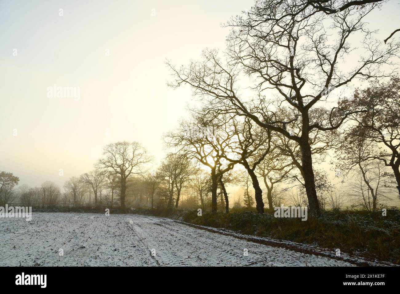 Friesischer Nebel - von strahlenden Sommermorgen bis milchigen Wintertagen - Winternebel 7 Stock Photo