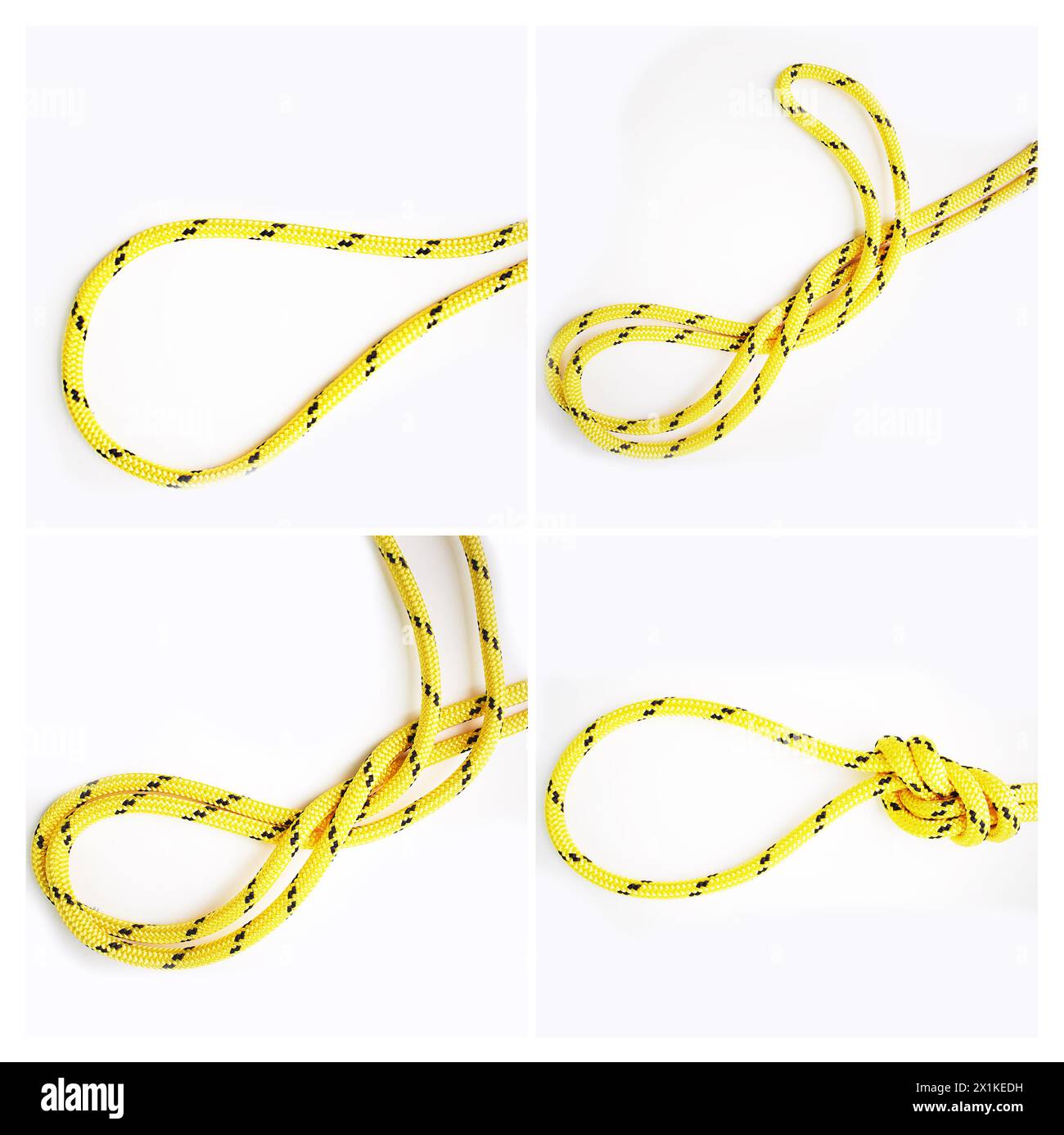 Knot, guide or how to tie ropes and material on white background in