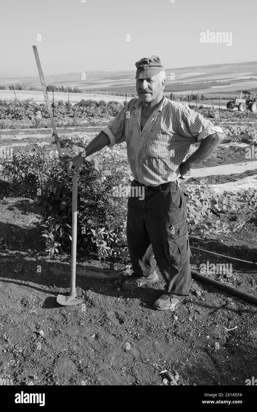 Farmer stands by his vegetable plot in the Galilee Israel Stock Photo