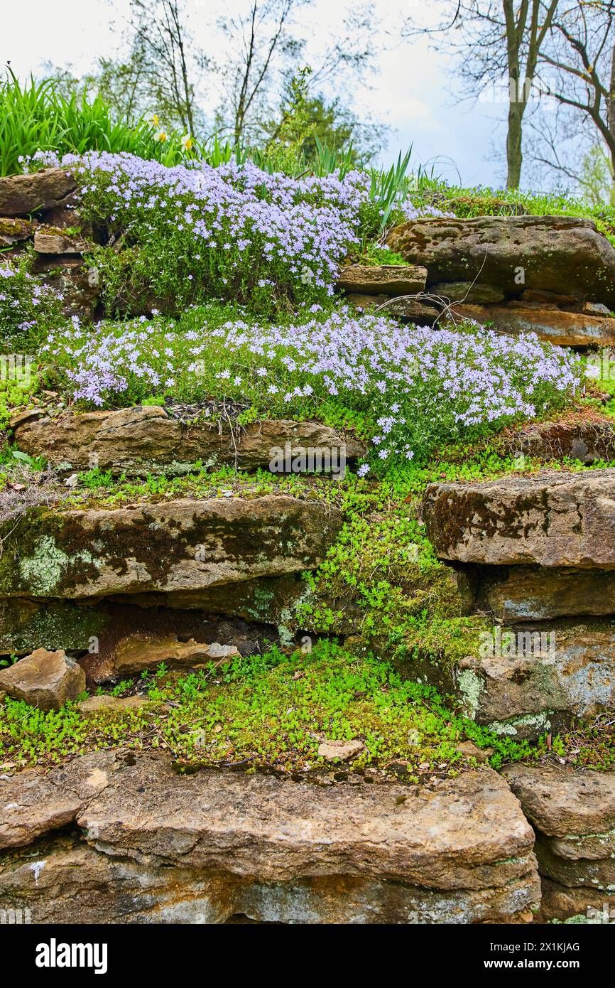 Overgrown stone wall hi-res stock photography and images - Alamy