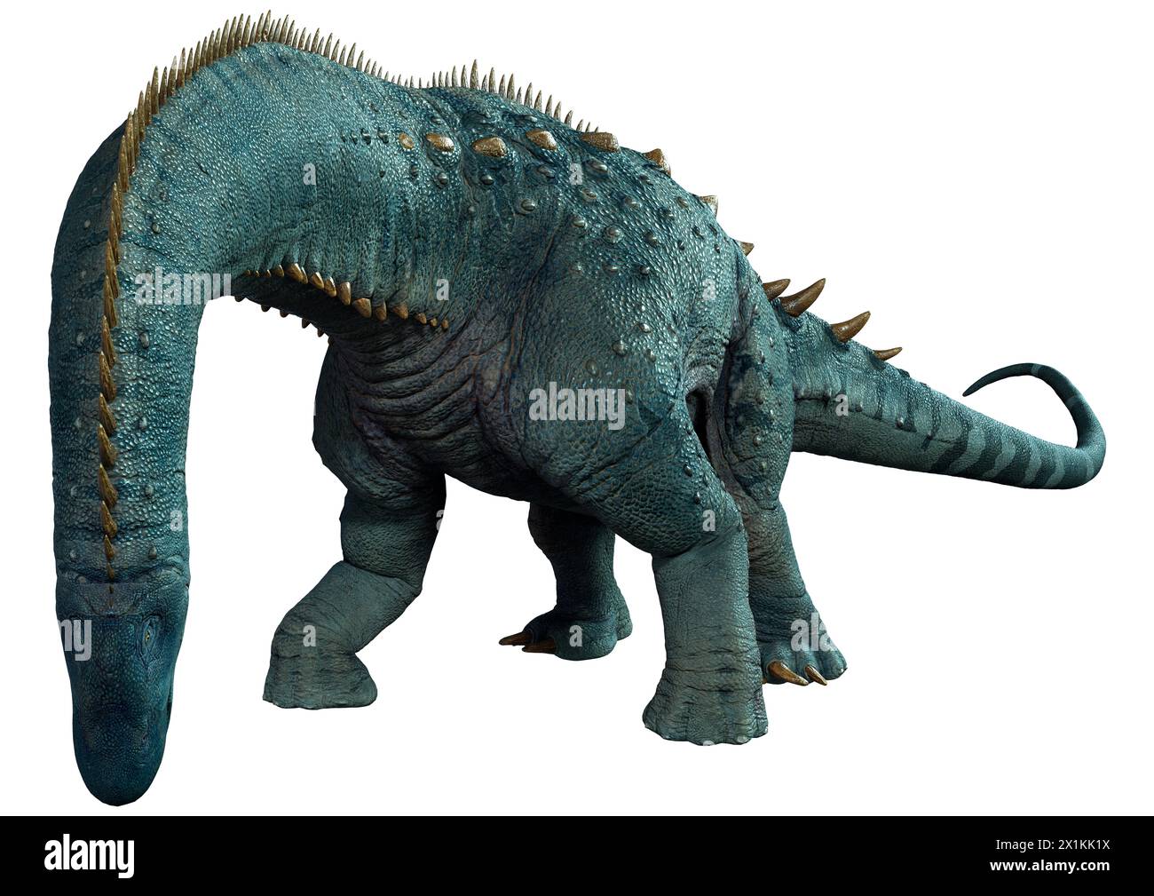 3D rendering of a Dinosaur Alamosaurus isolated on white background Stock Photo