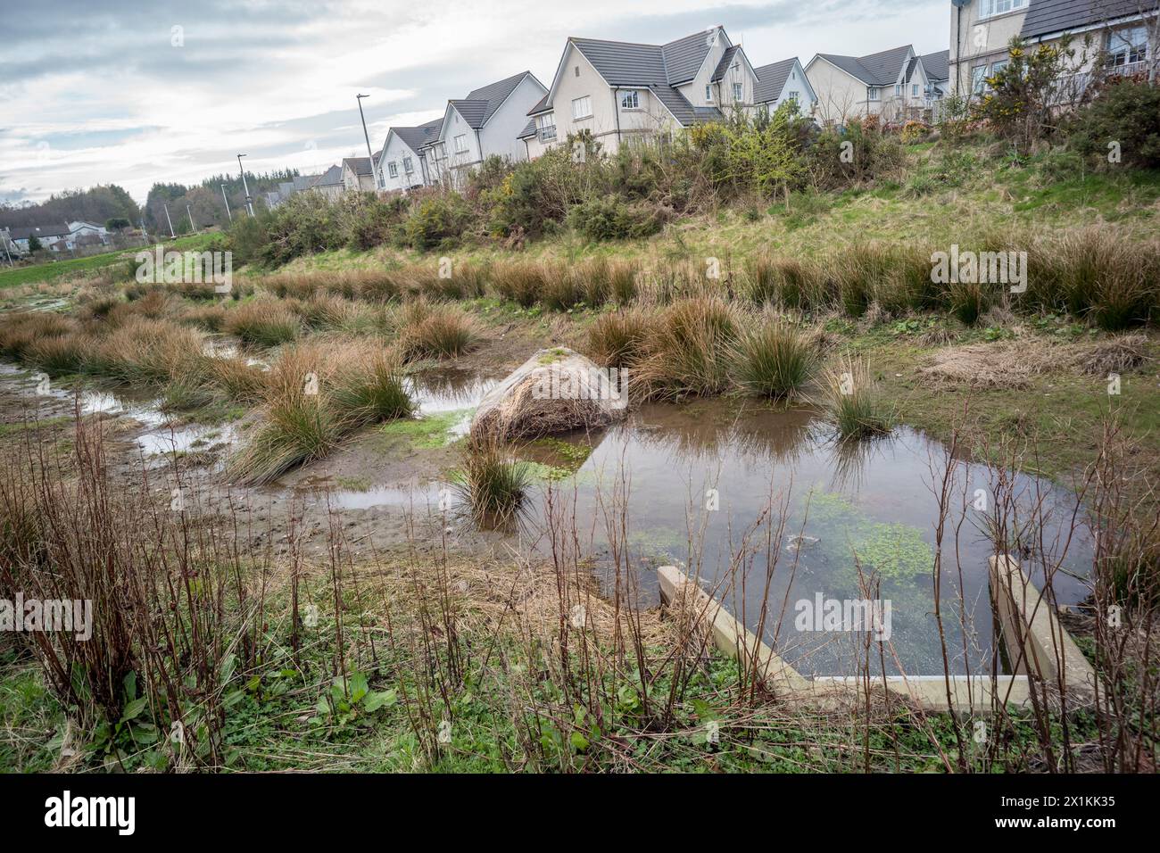 Sustainable urban drainage scheme, Suds to prevent flash flooding overwhelming sewage disposal system.  Cala Homes Cults Aberdeen Stock Photo
