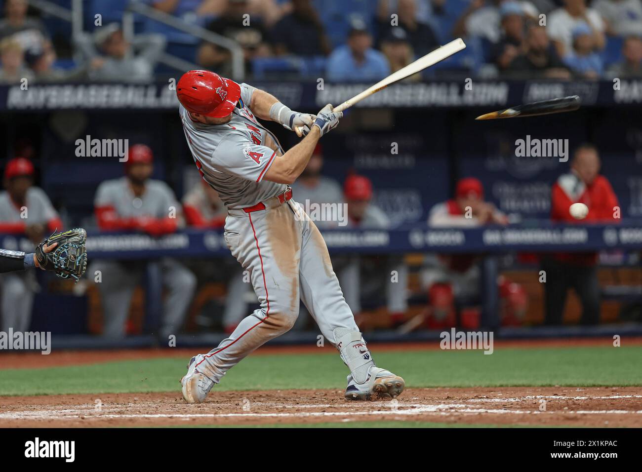 St. Petersburg, FL: Los Angeles Angels outfielder Mike Trout (27 ...