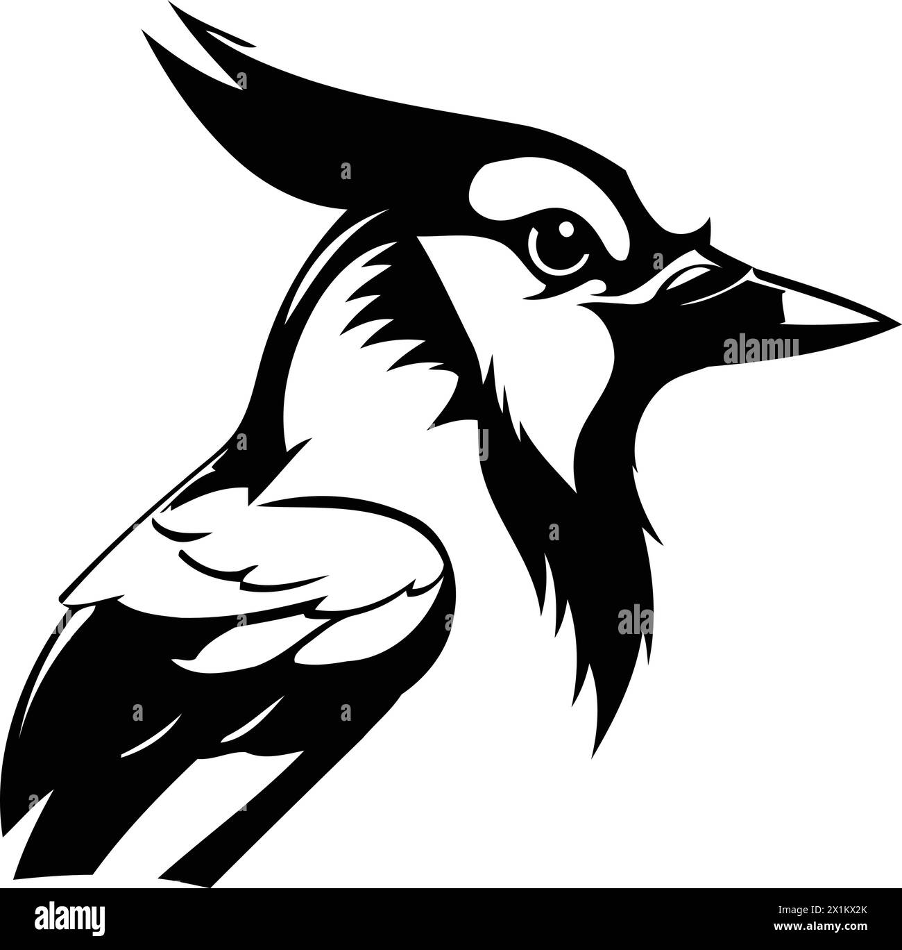 Blue jay bird vector illustration isolated on white background. Blue jay bird mascot. Stock Vector