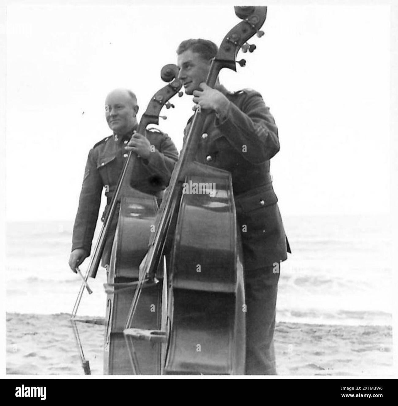double-basses-cut-out-stock-images-pictures-alamy