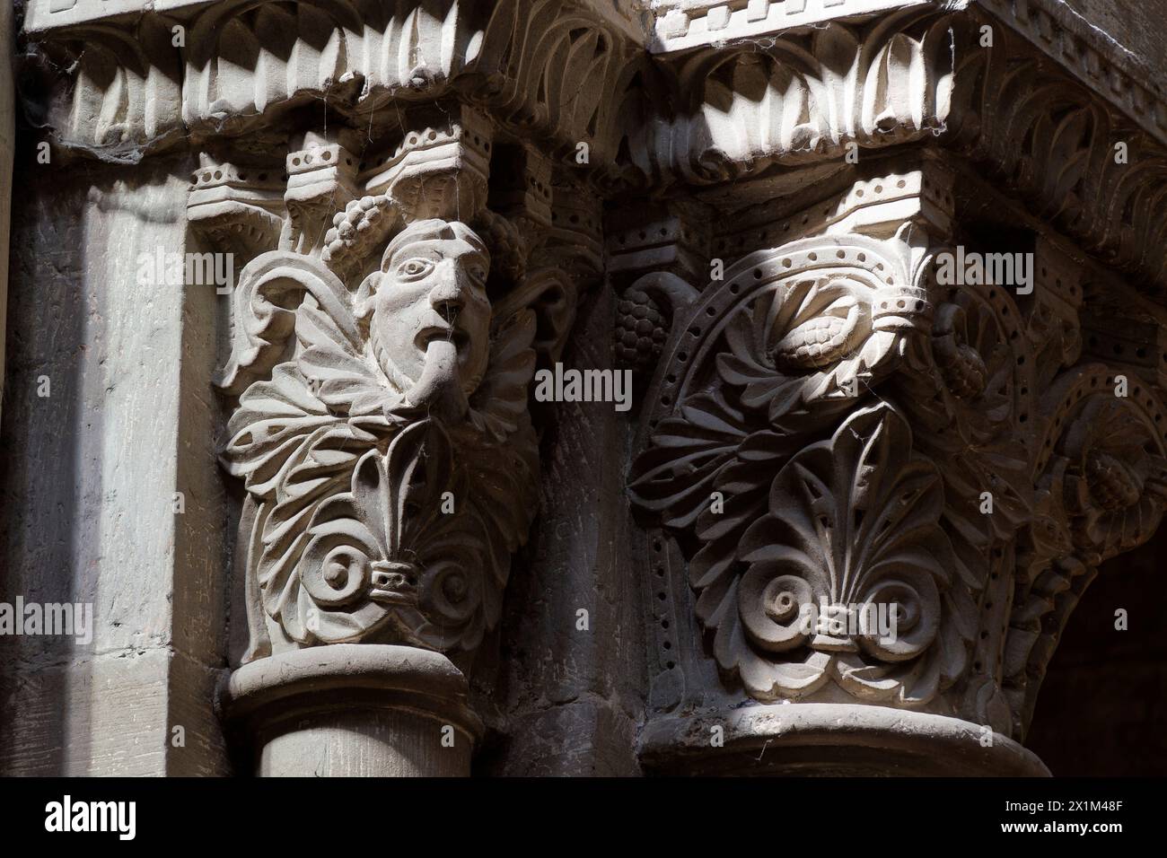 A man spitting out acanthus leaves - Medieval Bestiary - Capital (12th