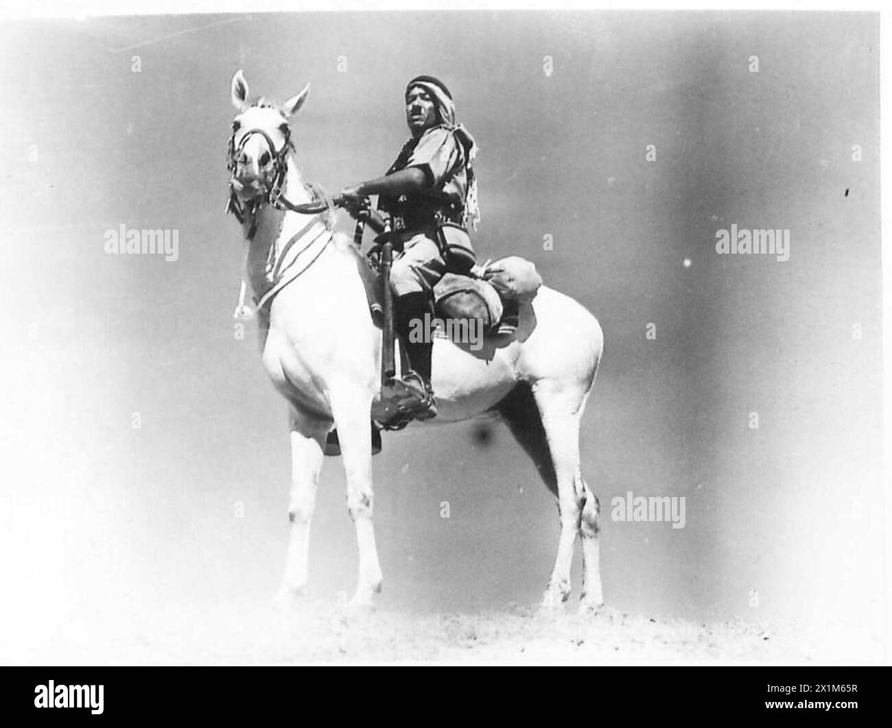 COUNTY SERIES THE PALESTINE POLICE - Types of Palestine Police. 80% are