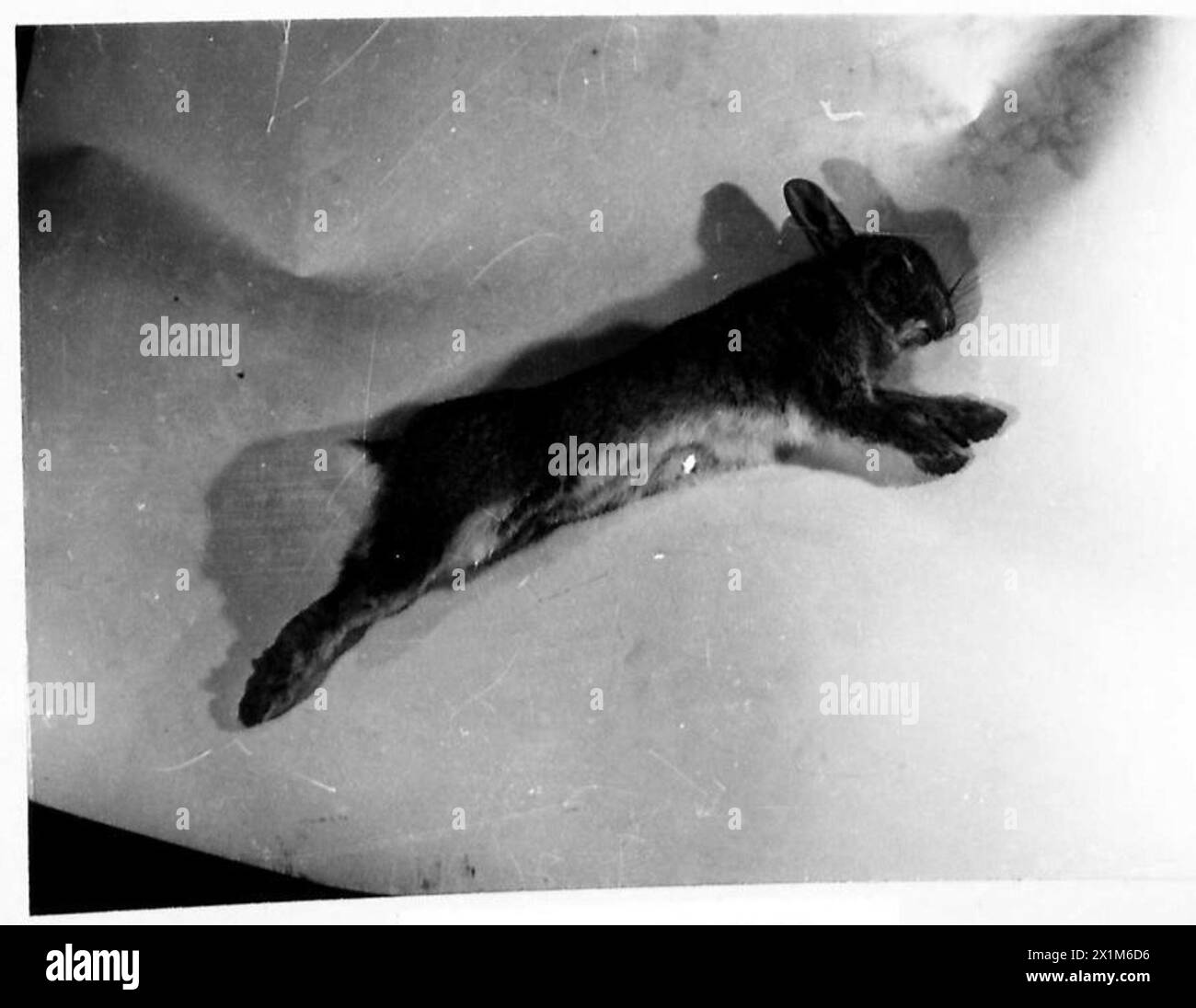 Explosion casualty Black and White Stock Photos & Images - Alamy