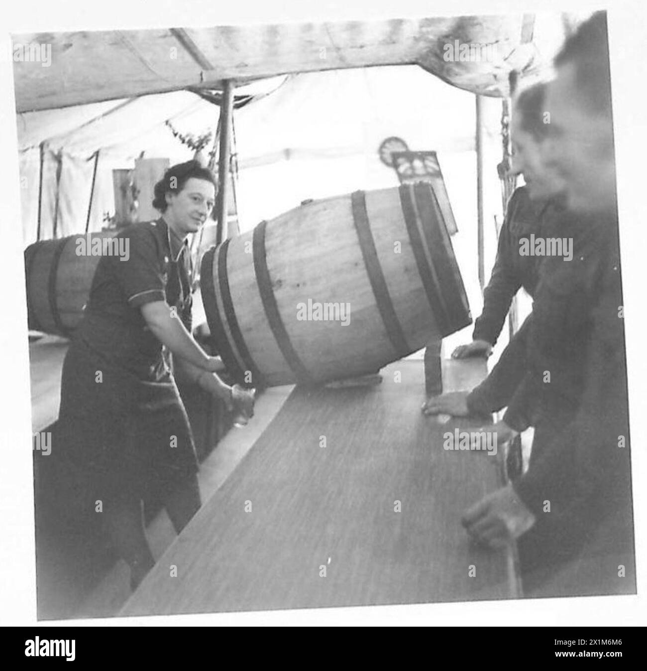 NORTH AFRICA : E.F.I. (NAAFI) SERVICES IN ALGIERS - Miss Chrissie Legge, of 38 Yeaman Place, Edinburgh is seen serving beer in the Botanical Gardens cantee, British Army Stock Photo