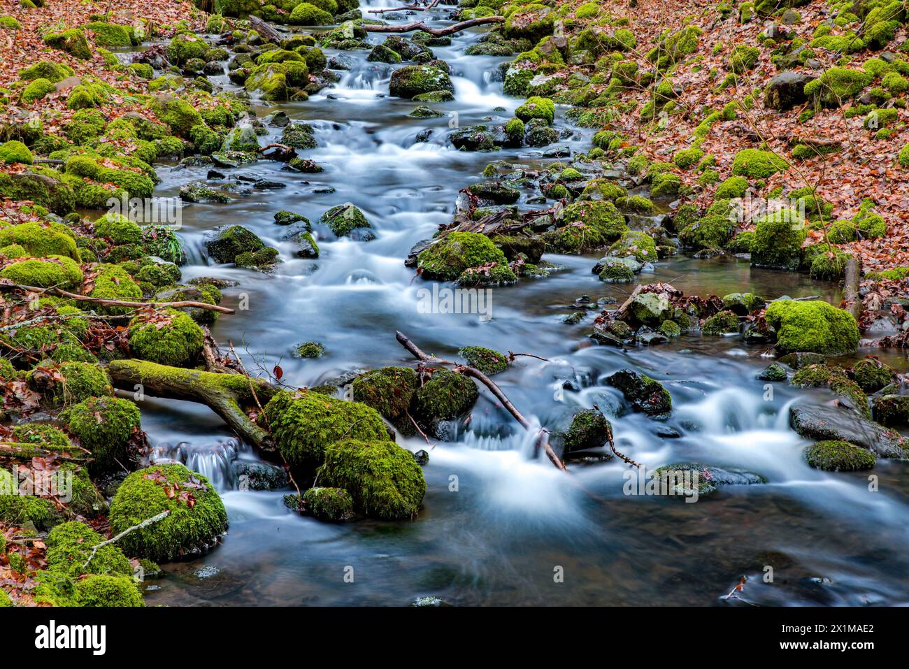 Stream in the forest, mountain stream, waterfall, Teufelsmühle, Rhön, Germany Stock Photo