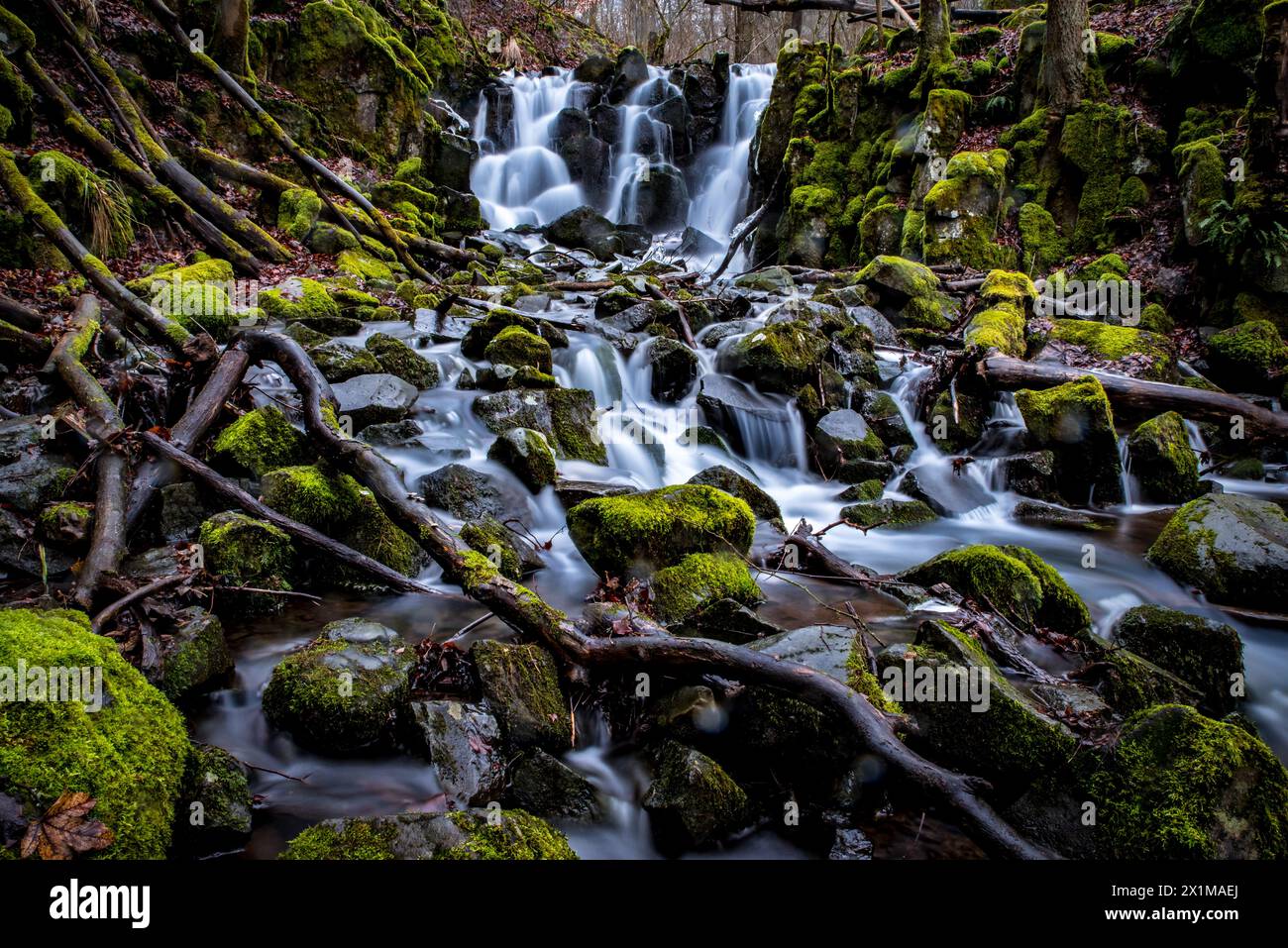 Stream in the forest, mountain stream, waterfall, Teufelsmühle, Rhön, Germany Stock Photo