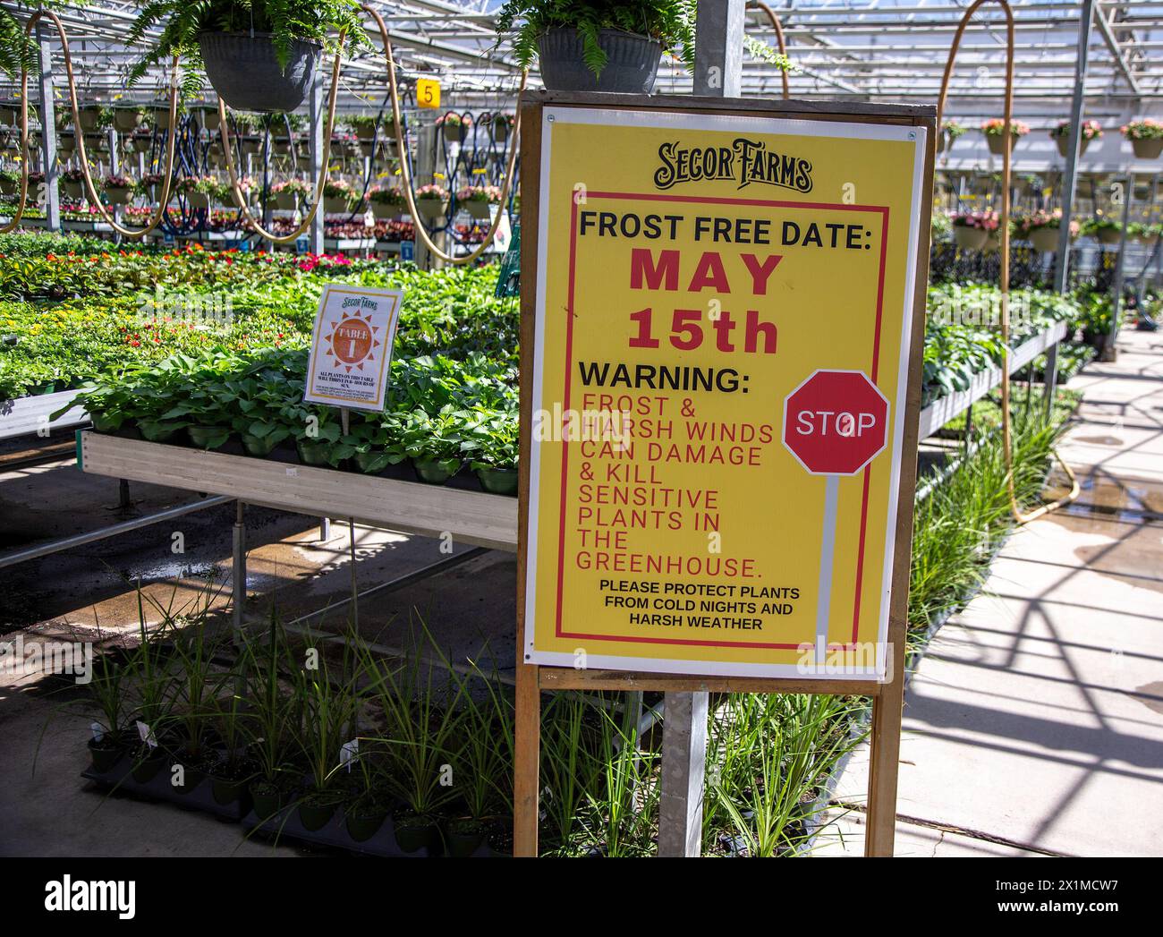 Sign in a nursery informing customers of the frost free date Stock ...