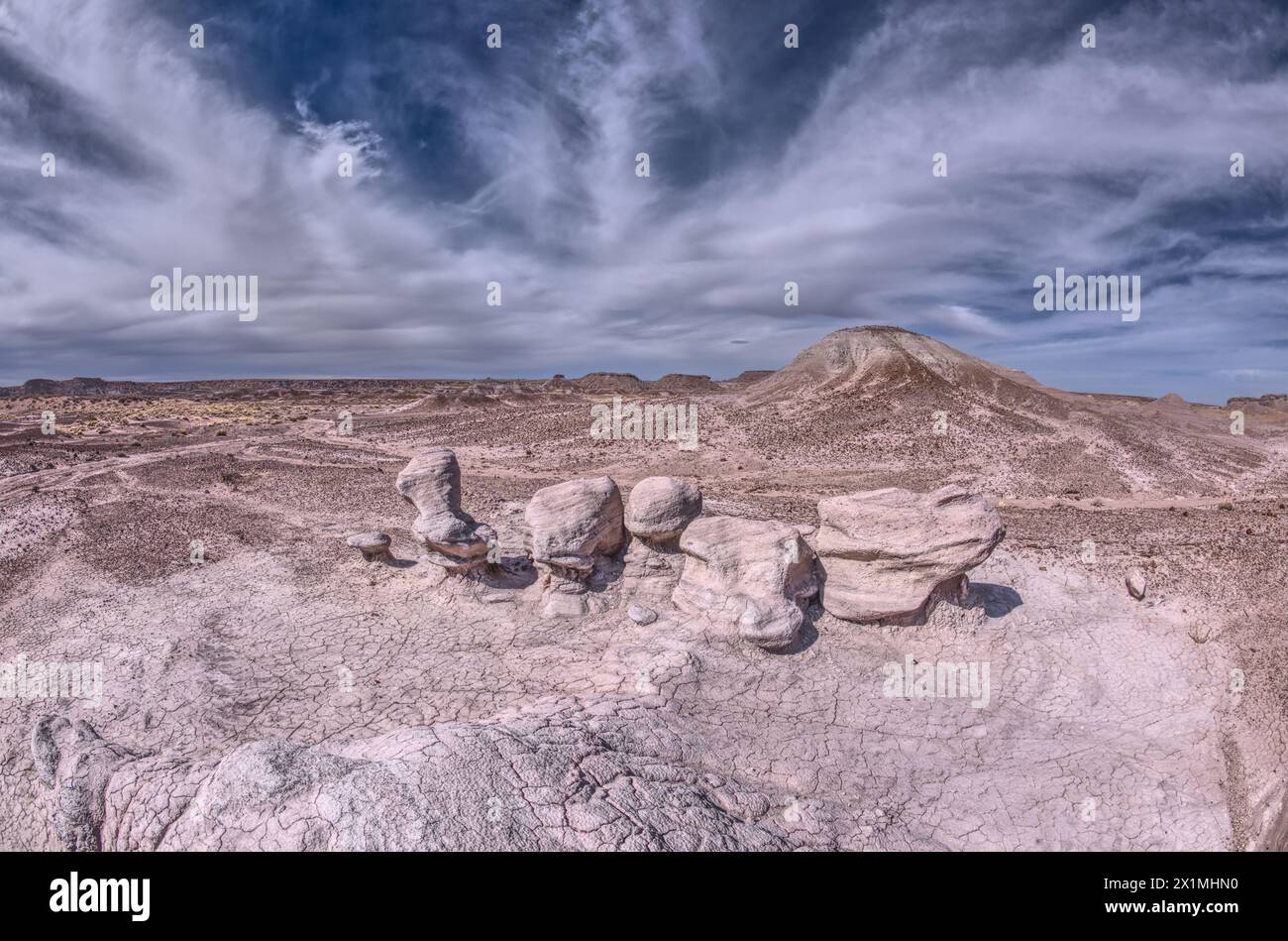 Soft sandstone that has been sculpted by high winds in Petrified Forest National Park Arizona. Stock Photo