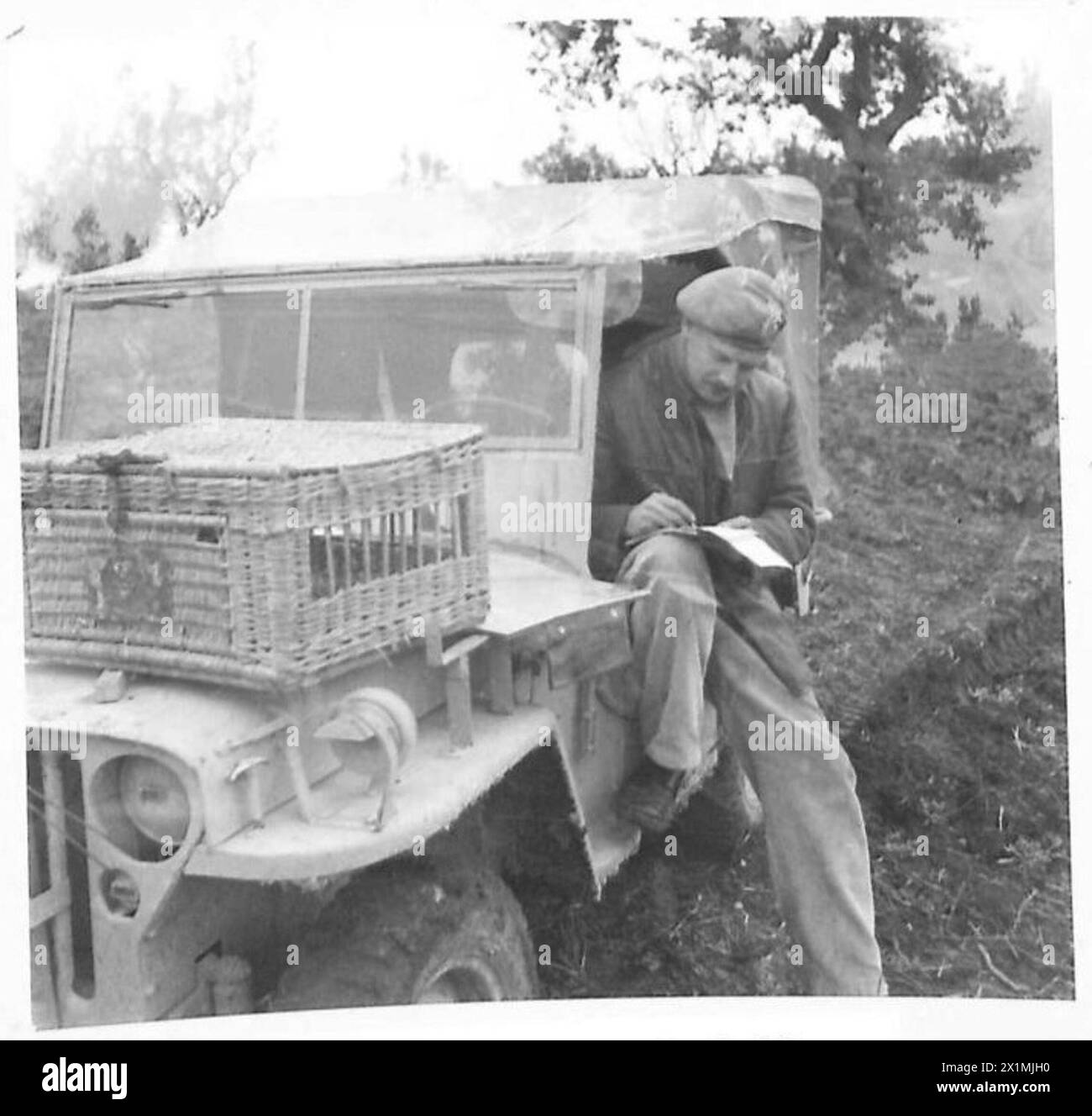 Soldier writing a message for pigeon hi-res stock photography and ...