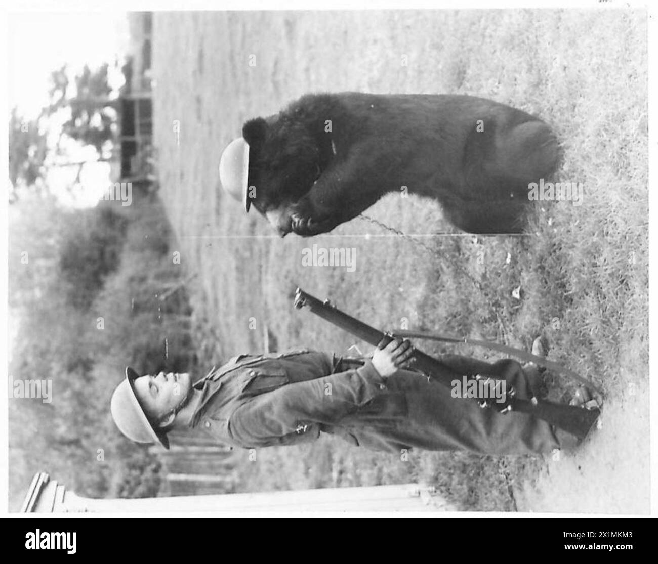 A BEAR MASCOT - 'Billy' and his keeper, British Army Stock Photo