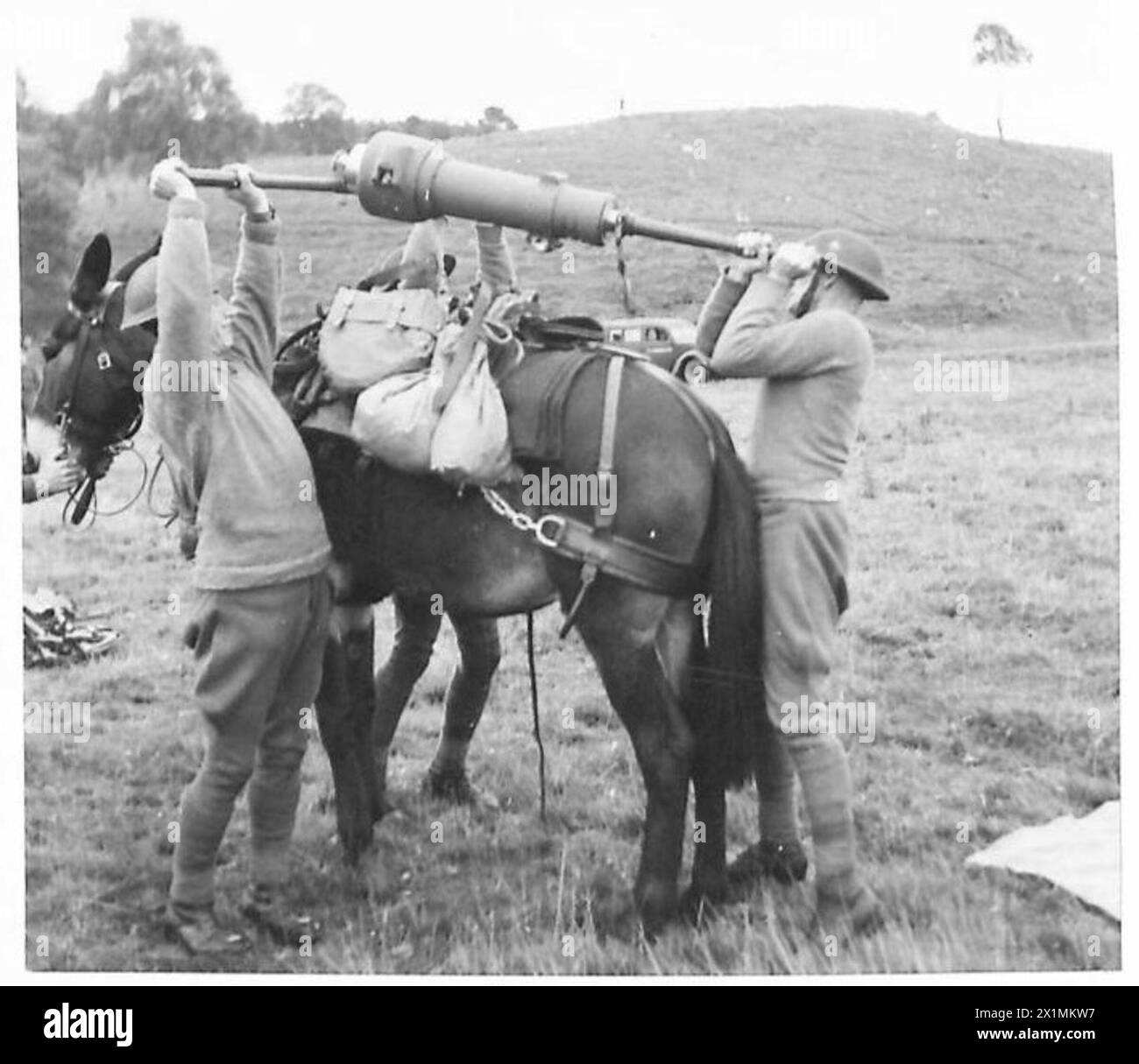 The Royal Artillery Mountain Battery prepares for action by unloading ...