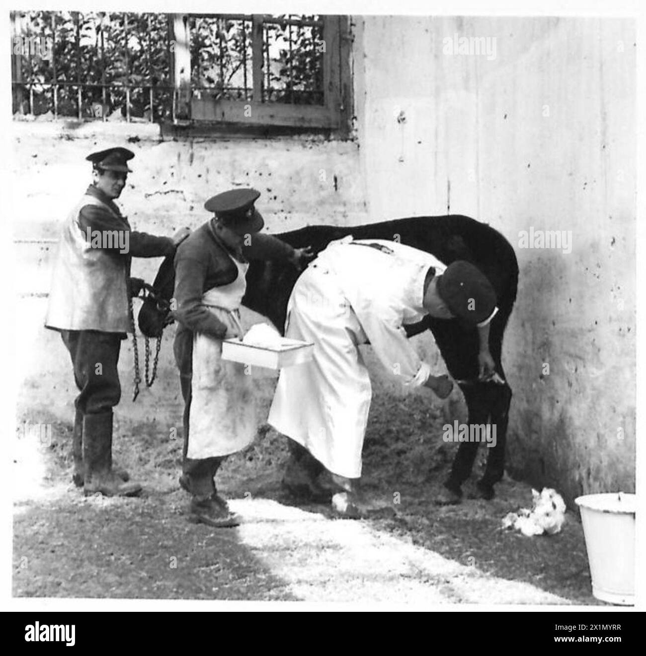 Devonport road Cut Out Stock Images & Pictures - Alamy