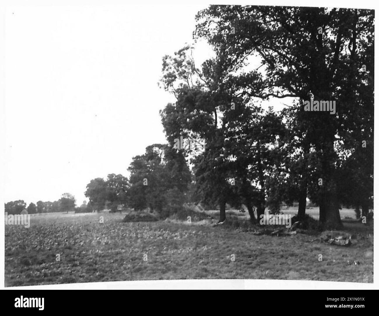 Camouflaged strong points are manned by the 11th Corps, documented on ...