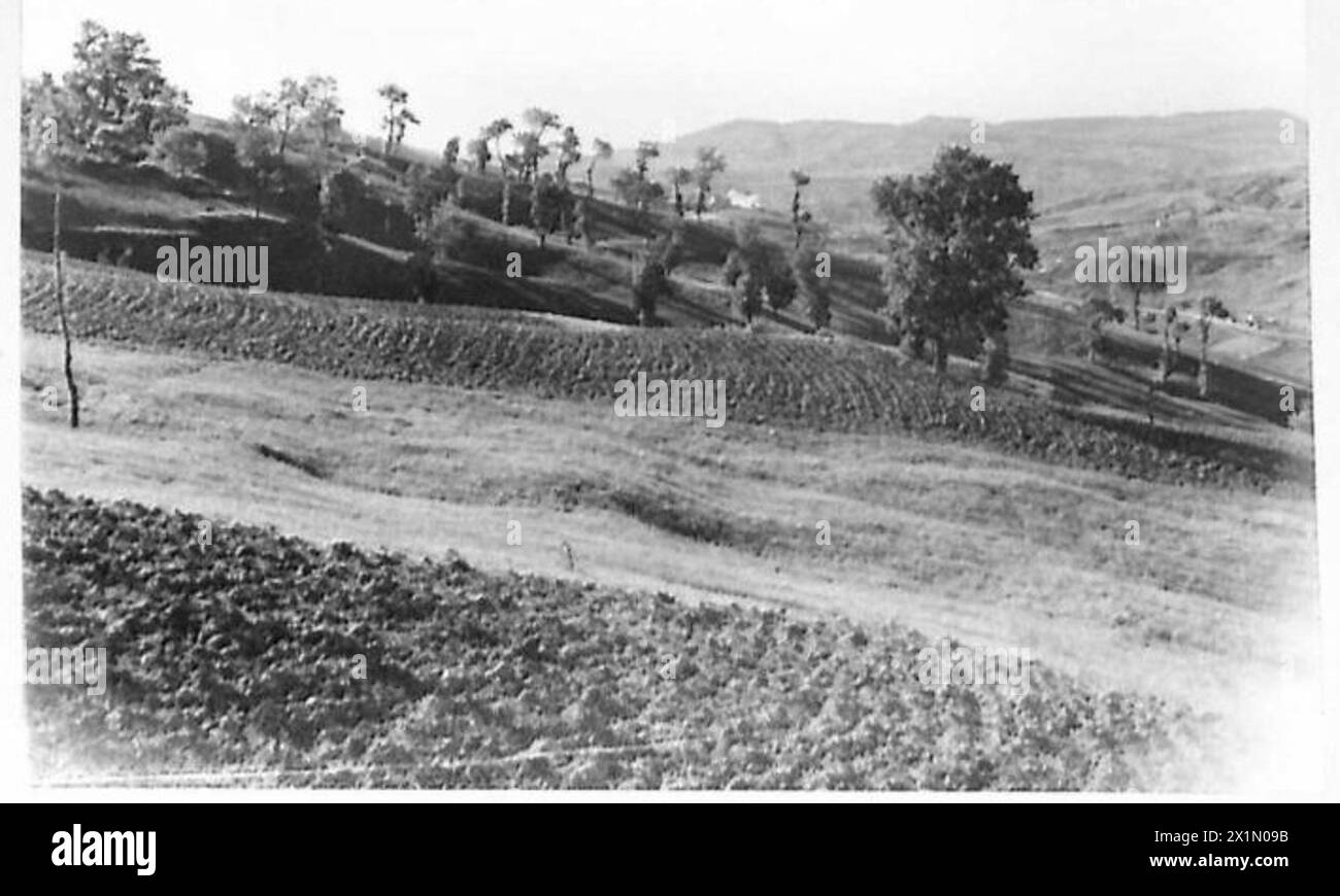 At the Sangro River front in Italy, British Eighth Army positions faced German attacks. 88 mm and 105 mm guns targeted the Gissi-Atessa road, limiting vehicle movement due to intense enemy shelling. Stock Photo