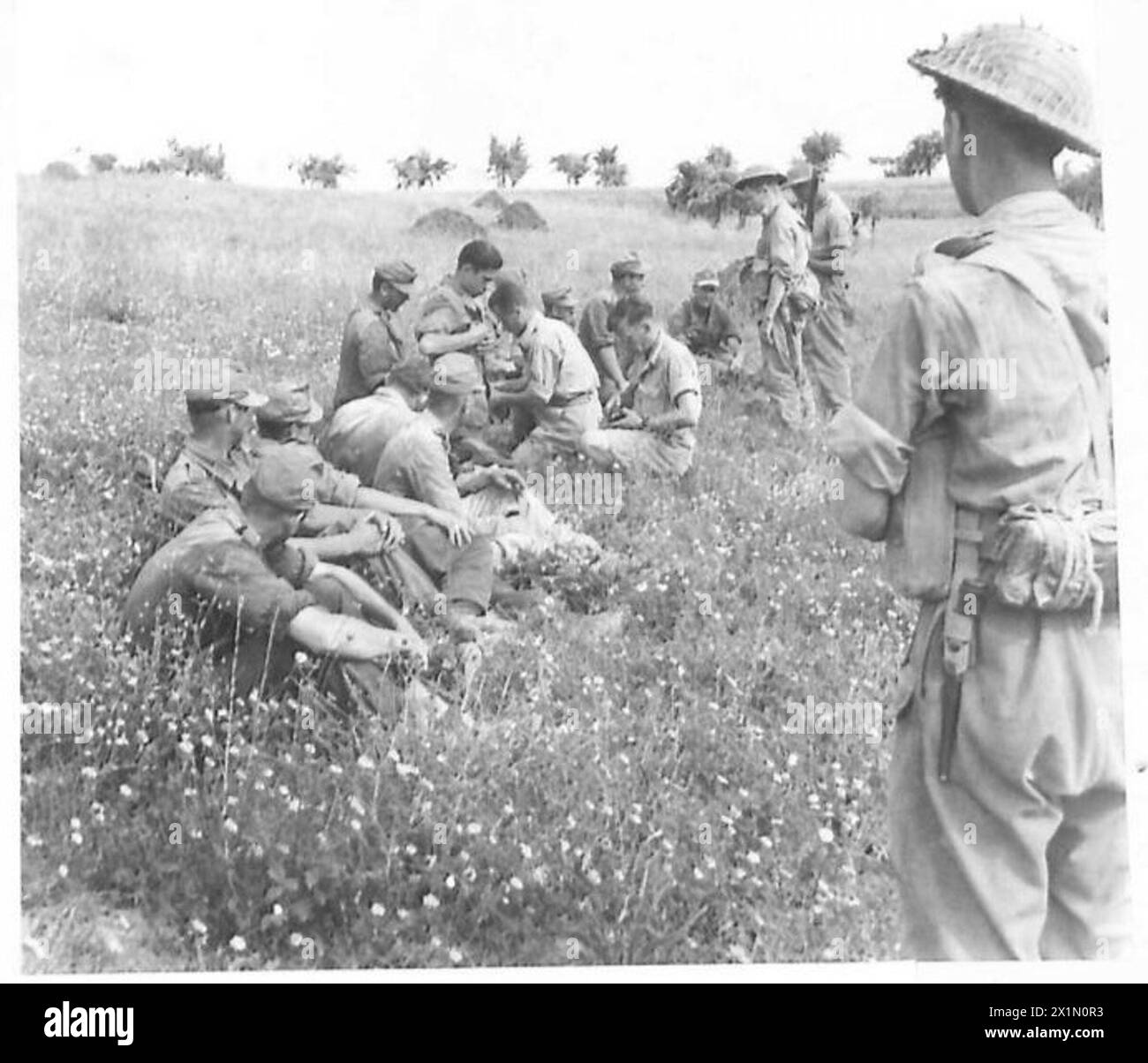 EIGHTH ARMY : VARIOUS - German Panzer Grenadier prisoners are searched at 28 Brigade HQ, Stock Photo