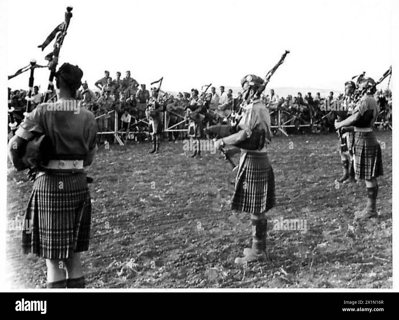 N. AFRICA (BEJA) RACE MEETING - Pipers of the 1st Bn. Scots Guards playing on the course between races, British Army Stock Photo