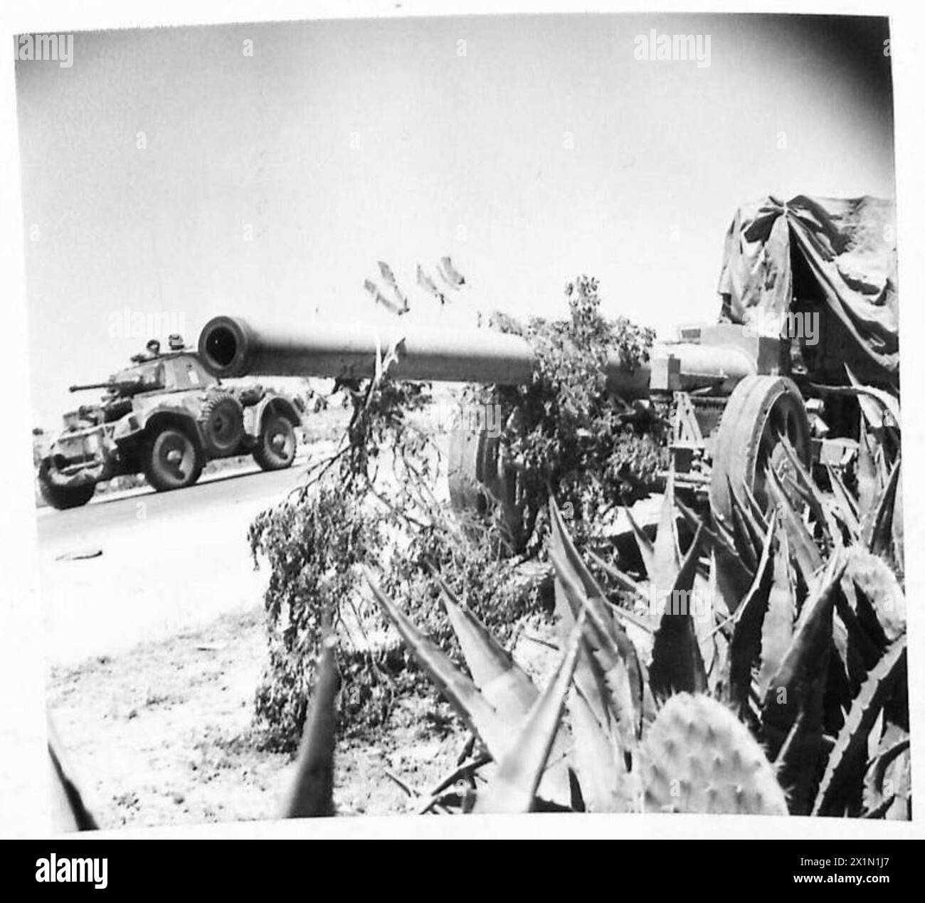 FINAL PHASES OF TUNISIA THOUSANDS OF PRISONERS Armoured car passes an