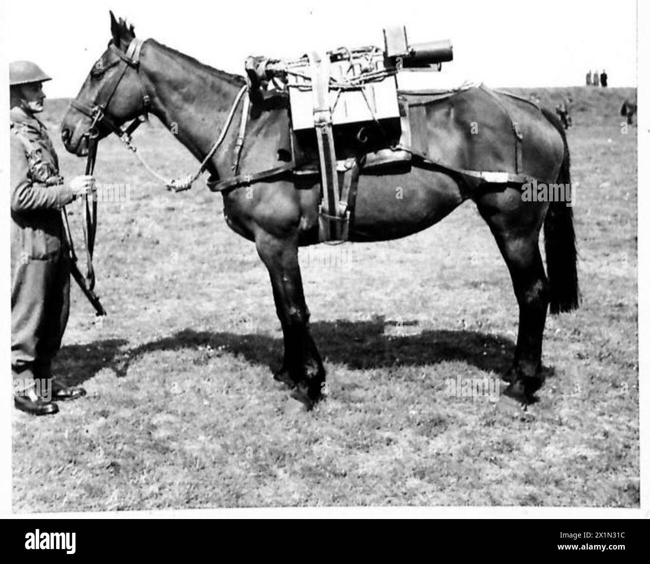 GENERAL SIR BERNARD C.T. PAGET VISIT SCOTLAND A pack horse carrying a