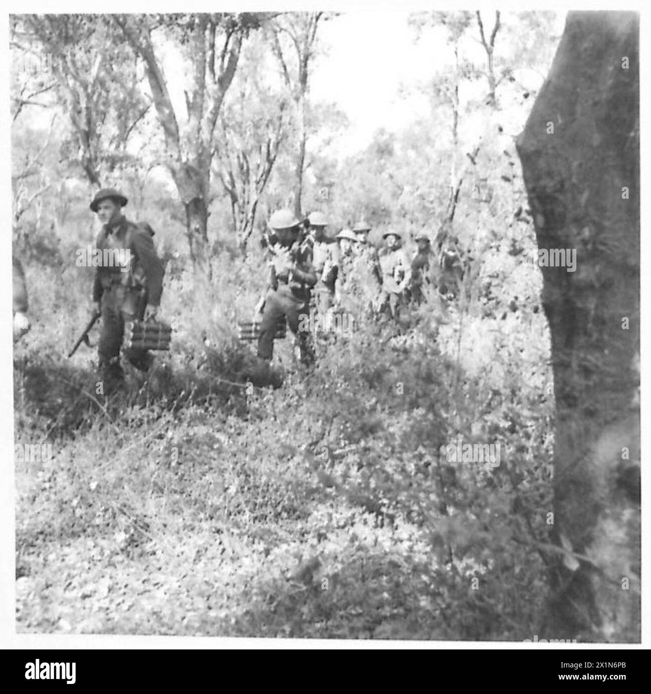 INFANTRY IN WOODED COUNTRY - A section of infantry of the Duke of ...