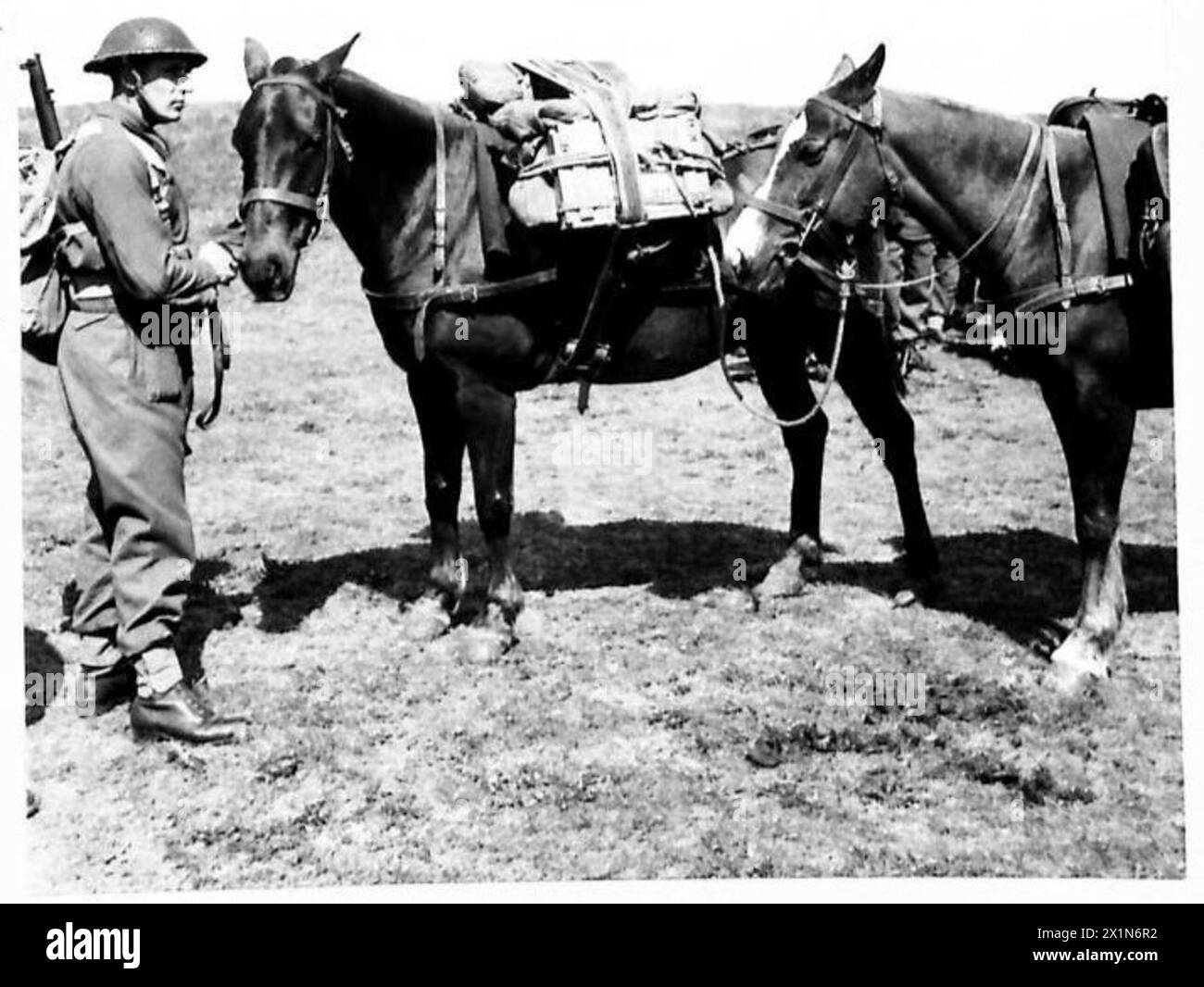 GENERAL SIR BERNARD C.T. PAGET VISIT SCOTLAND A pack horse carrying