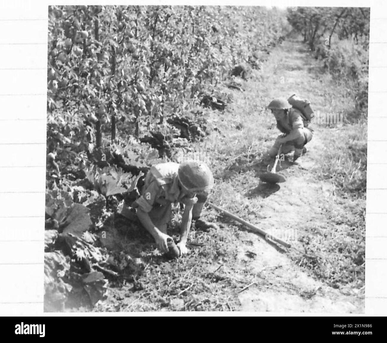 During Eighth Army operations, a detector identifies a mine which is ...