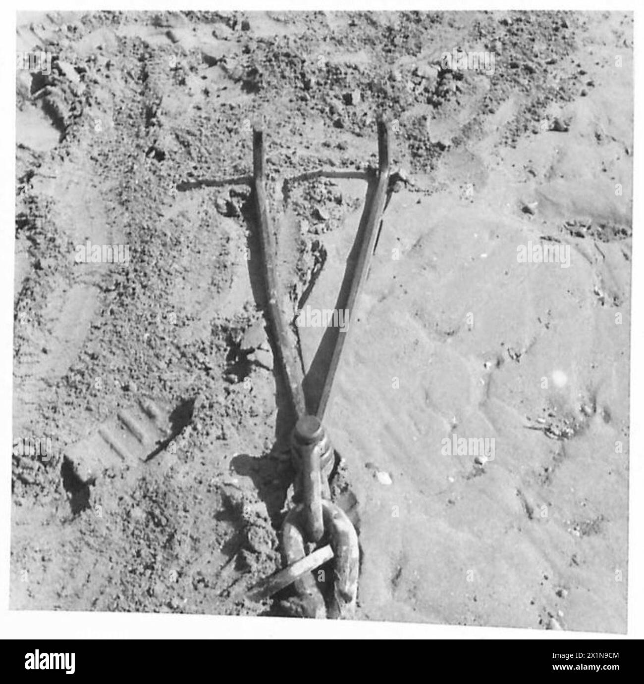 EXPERIMENTS IN TANK RECOVERY Closeup of holdfast spikes used to