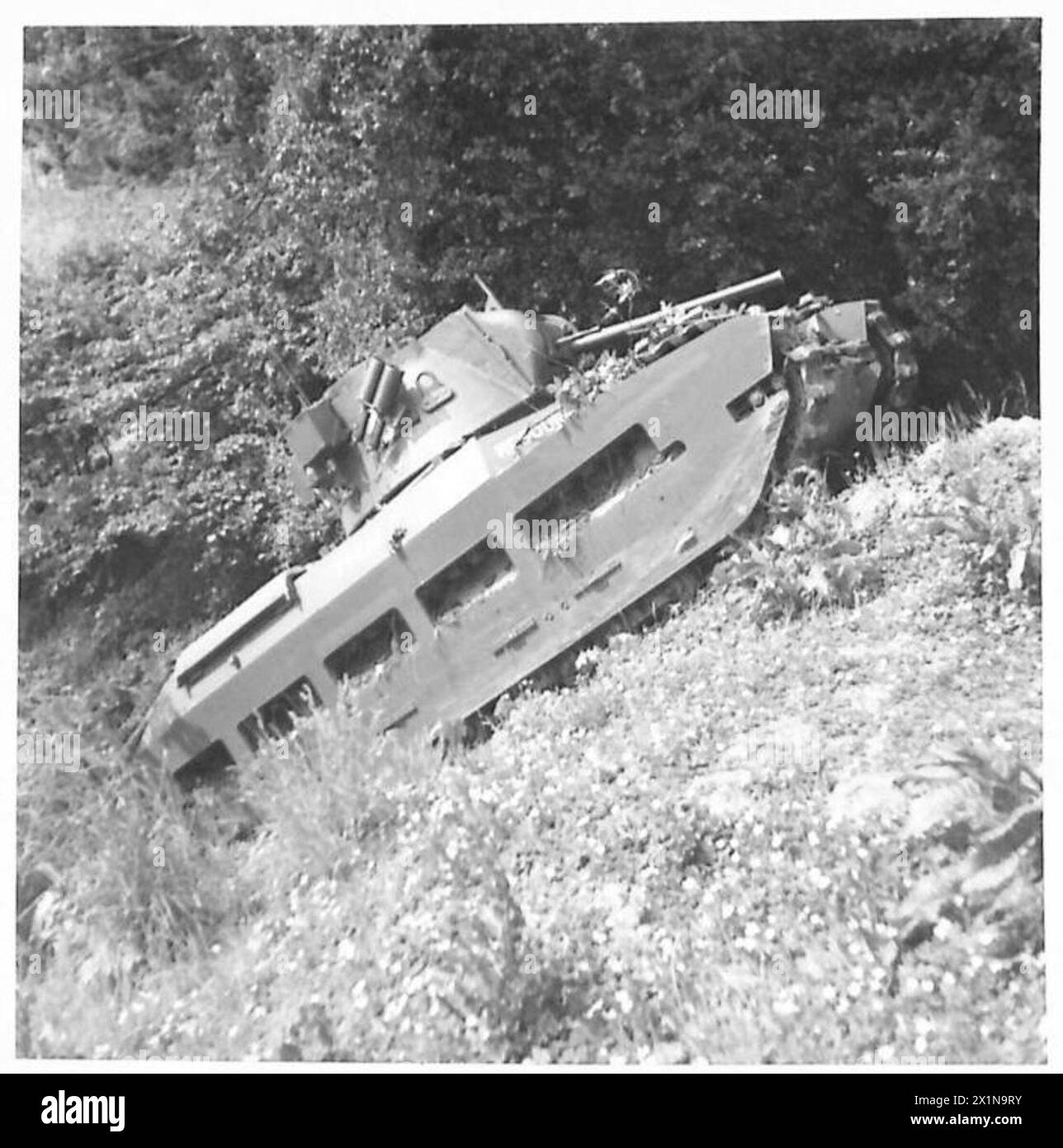 A Matilda tank emerges from a clearing during a tank demonstration in ...
