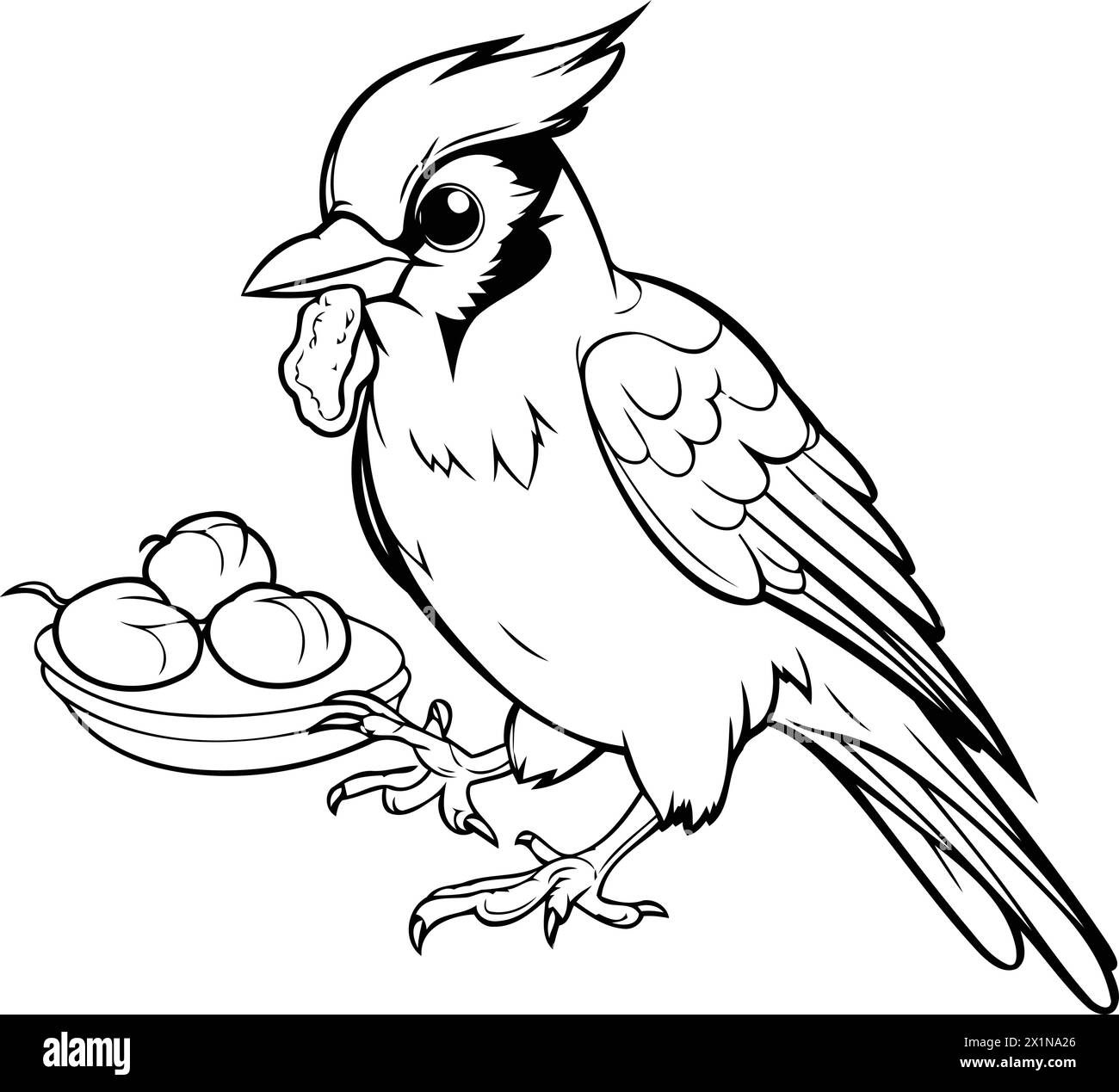 Illustration of a blue jay with eggs on a white background Stock Vector