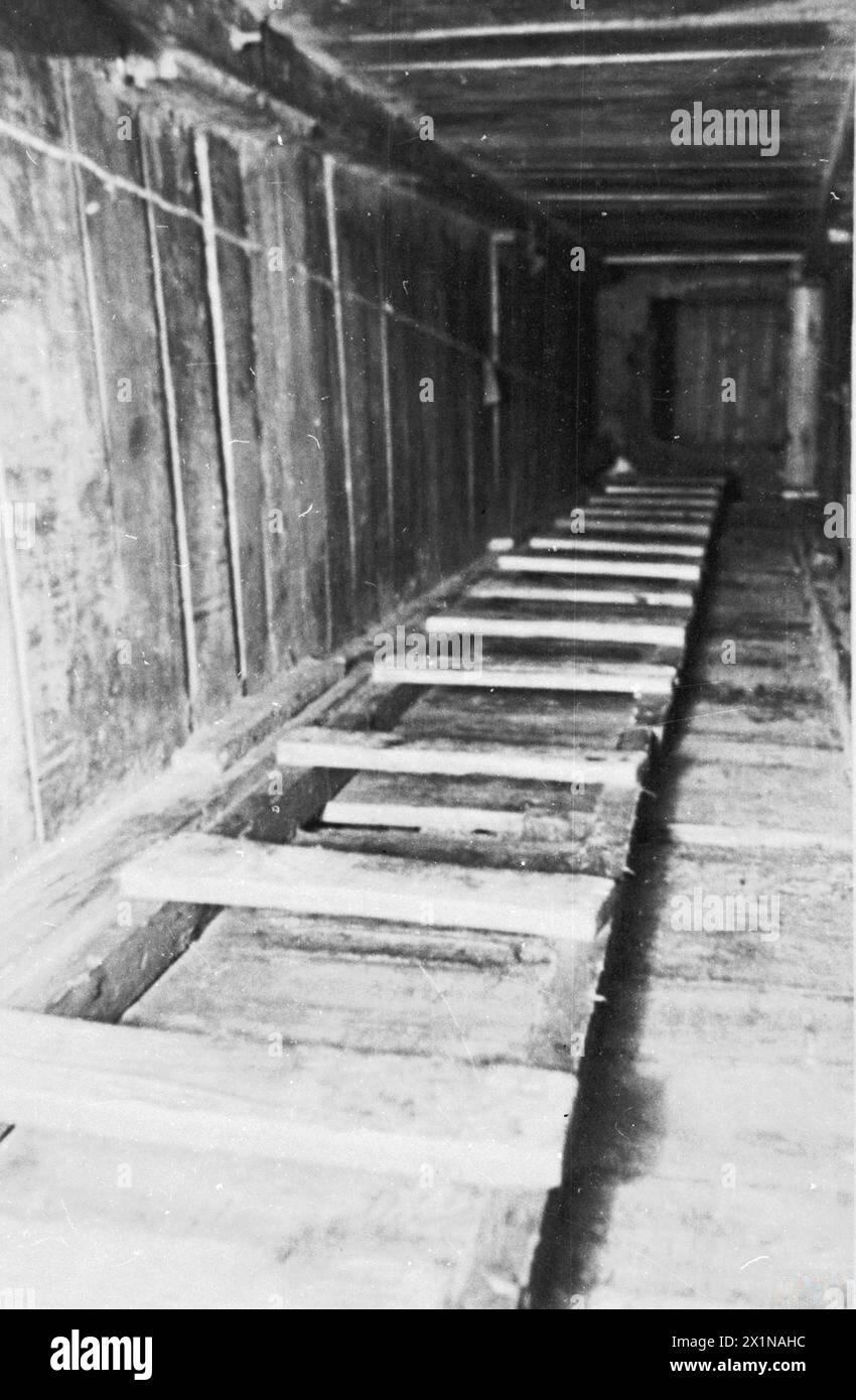 THE GREAT ESCAPE, MARCH 1944 - Shaft with a ladder to the 'Harry' escape tunnel at Stalag Luft III, Sagan. Photograph probably taken in late March 1944, Royal Air Force Stock Photo