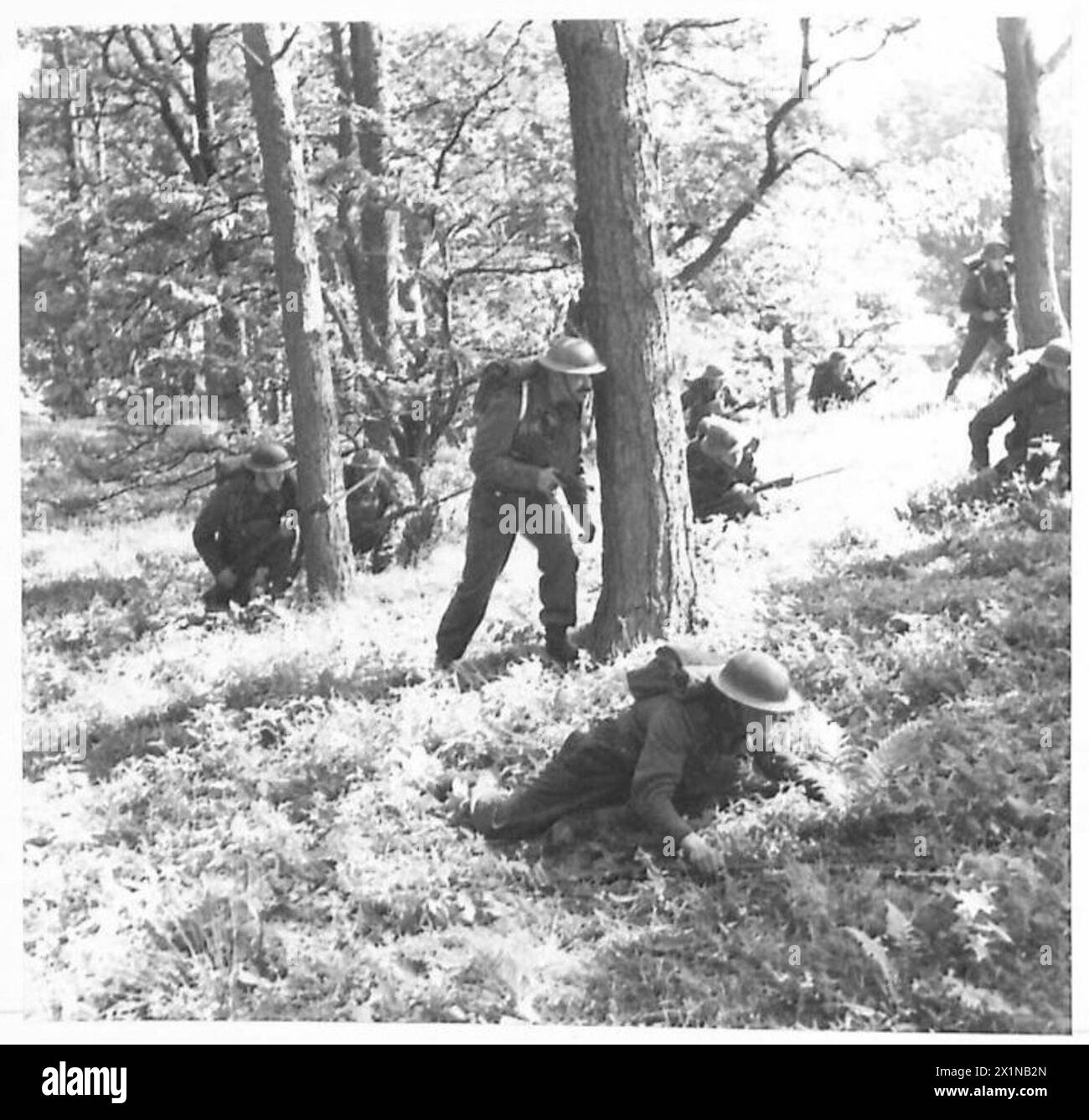 BRITAIN�S SHOCK TROOPS - Clearing a wood in short rushes. Now that bushes and trees are in leaf they provide cover for an invader and woodland training is increasingly important, British Army Stock Photo