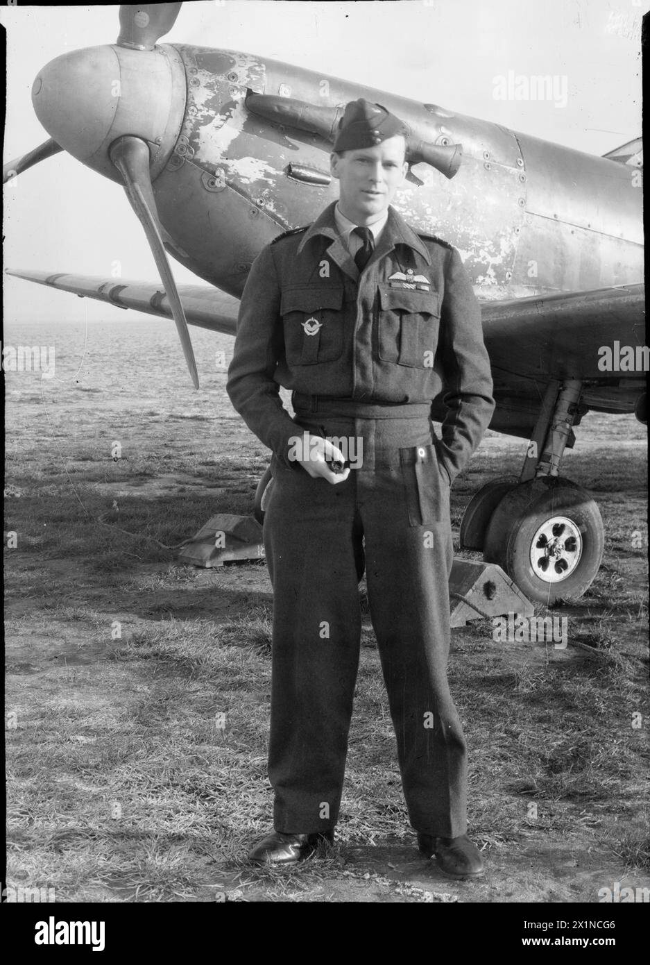 jm！ 2019 KAWASAKI ZX 1002 BJF SX SE TOURER for sale | MotorcycleFinder