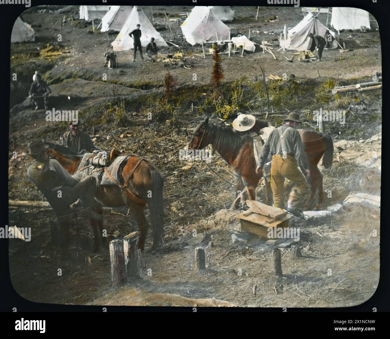 Loading gold onto pack horses, Bonanza, Yukon, 1898.  Vintage Canadian Gold Rush Photograph. Stock Photo