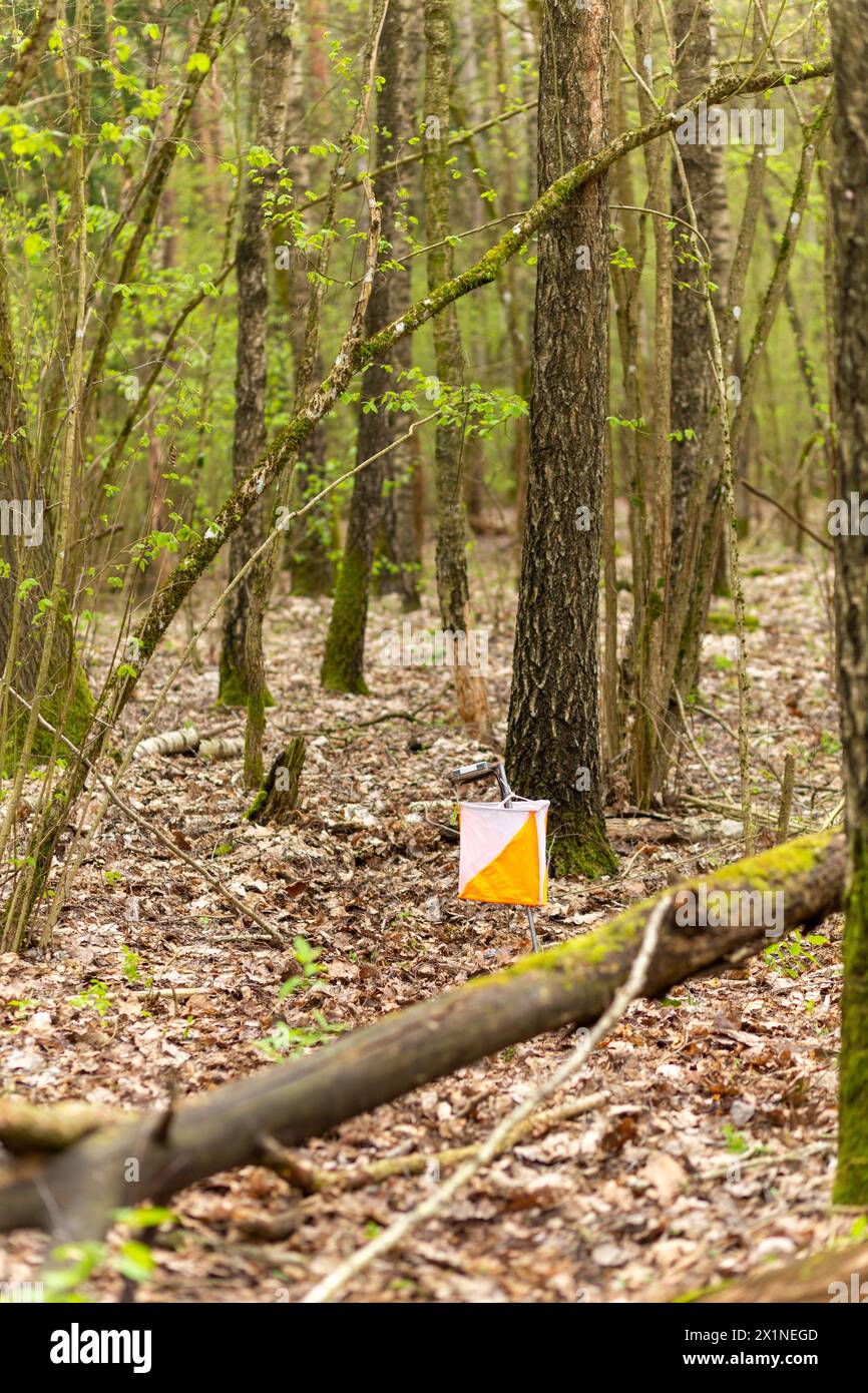 Orienteering. Control point Prism and electric composter for orienteering in the spring forest. Navigation equipment. The concept Stock Photo