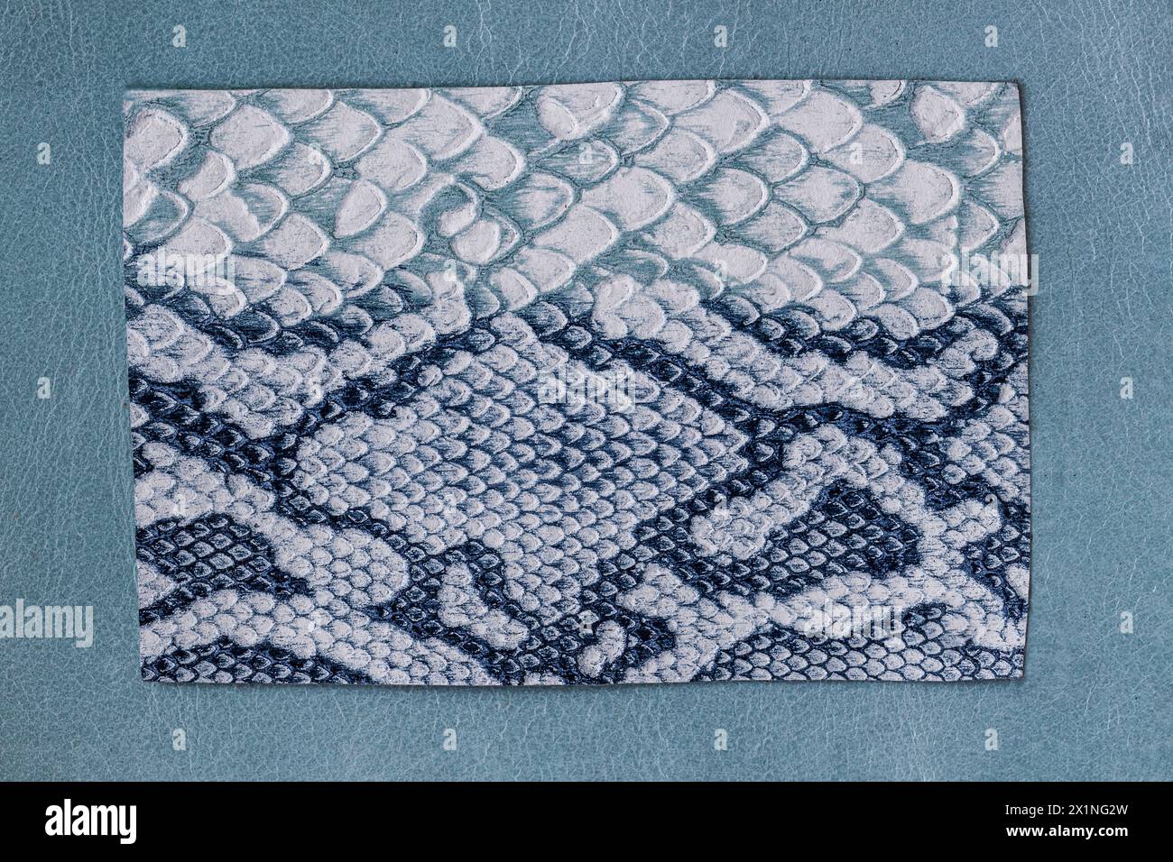 Blue and white snake skin, patterned background, reptile surface in frame Stock Photo