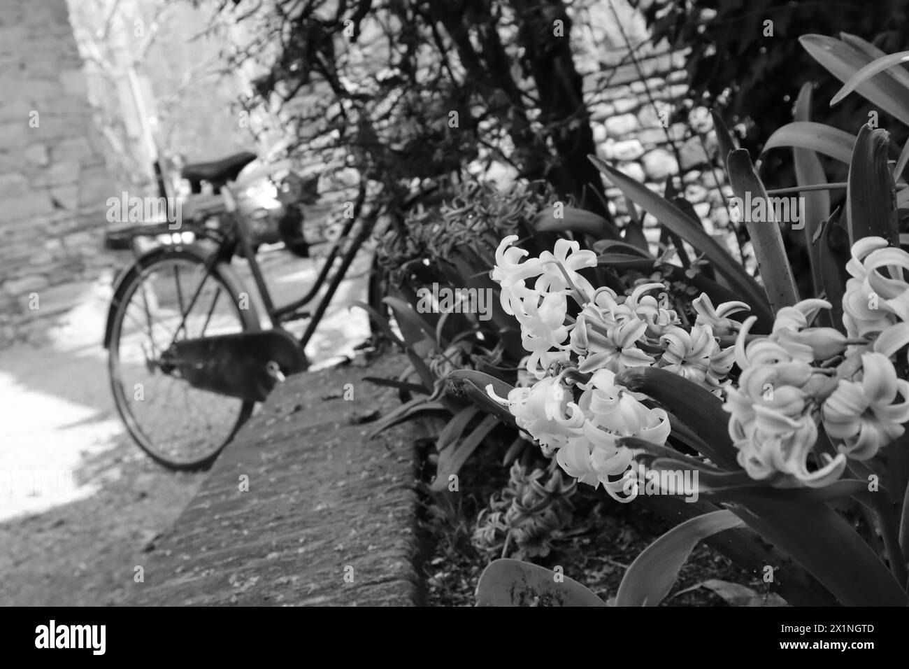 back-in-time-stock-photo-alamy