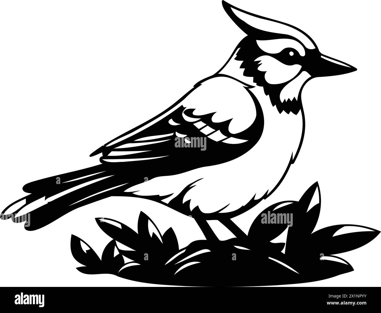 Blue jay bird isolated on a white background. Vector illustration. Stock Vector
