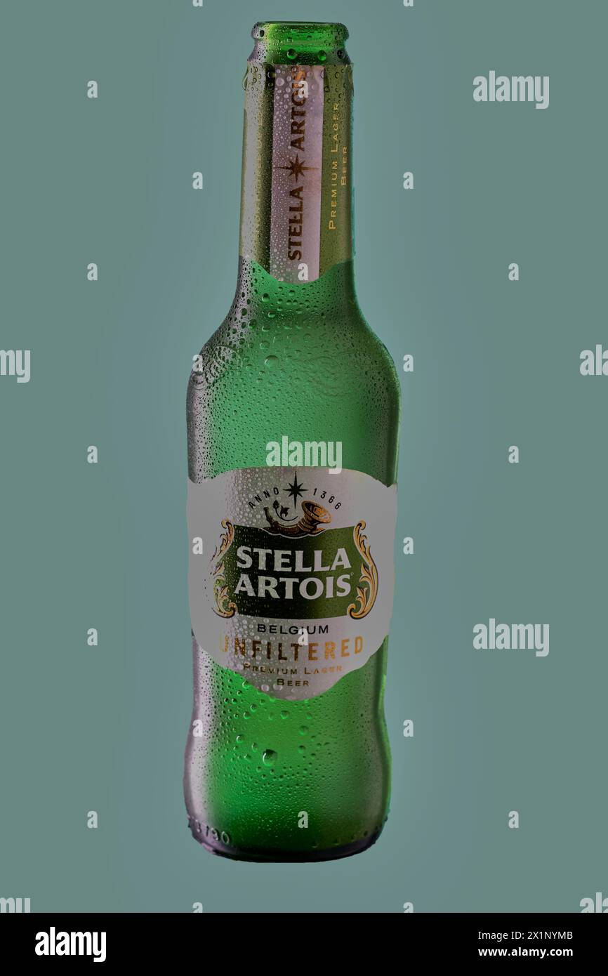 Mansfield,Nottingham,United Kingdom,17th April 2024:Studio product image of a bottle of unfiltered Stella Artois on a green background. Stock Photo