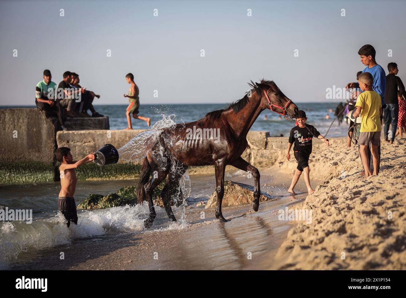Gaza, Gaza, Palestine. 17th Apr, 2024. Displaced Palestinian child lays water on horse on Deir al-Balah sea shore (Credit Image: © Saher Alghorra/ZUMA Press Wire) EDITORIAL USAGE ONLY! Not for Commercial USAGE! Stock Photo