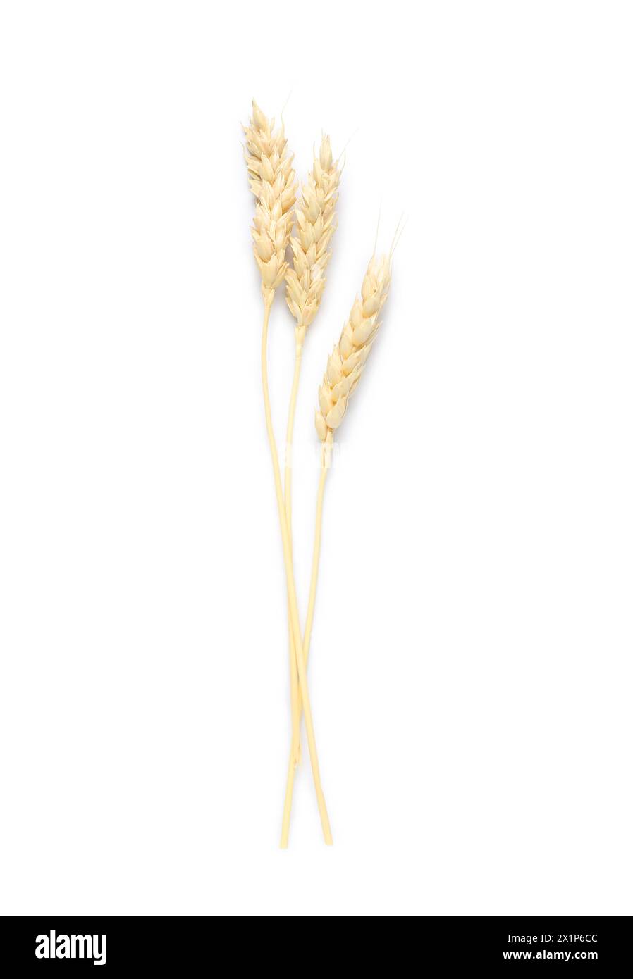 Wheat ears isolated on white background Stock Photo - Alamy